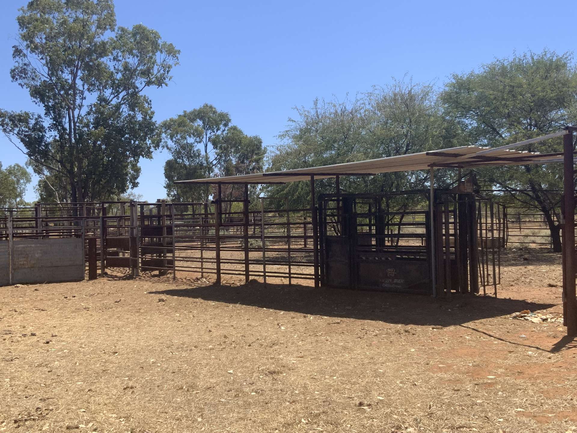 Wattlevale Lot 12 Capricorn Highway, Jericho Auction by Farmbuy.com - image 3