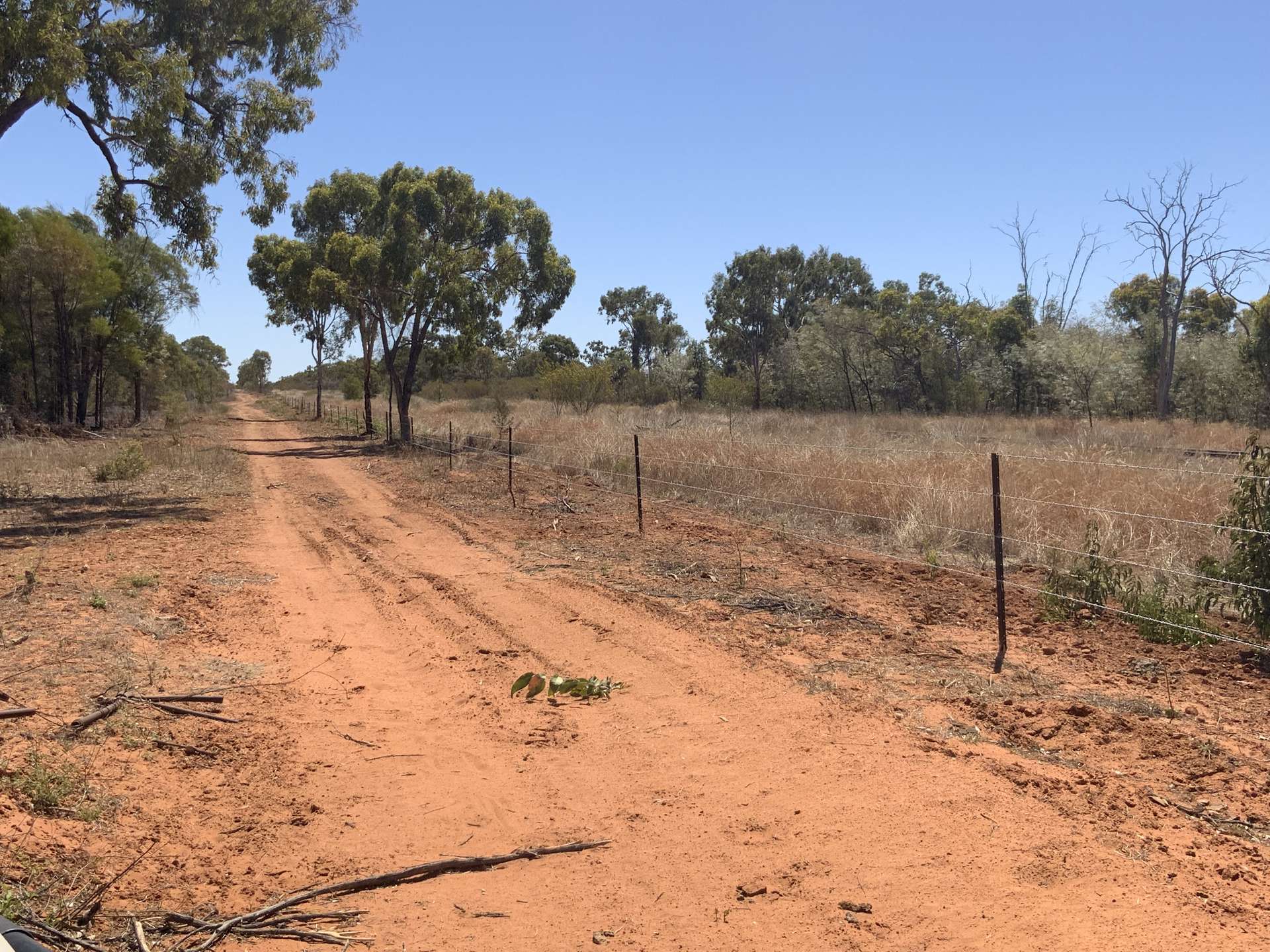 Wattlevale Lot 12 Capricorn Highway, Jericho Auction by Farmbuy.com - image 6