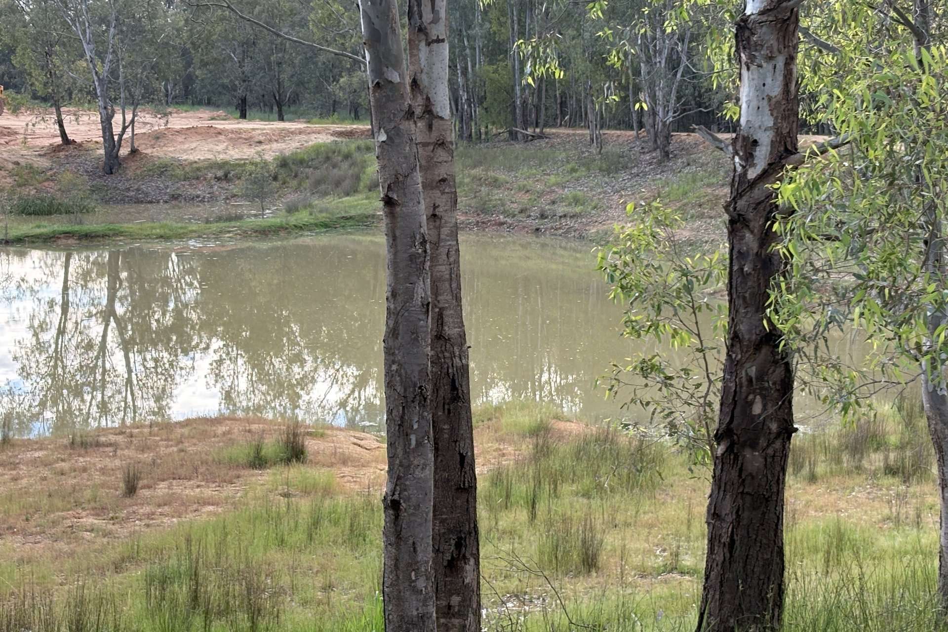 2796 Wanga Wangaratta-Yarrawonga Road, Peechelba For Sale by Farmbuy.com - image 34
