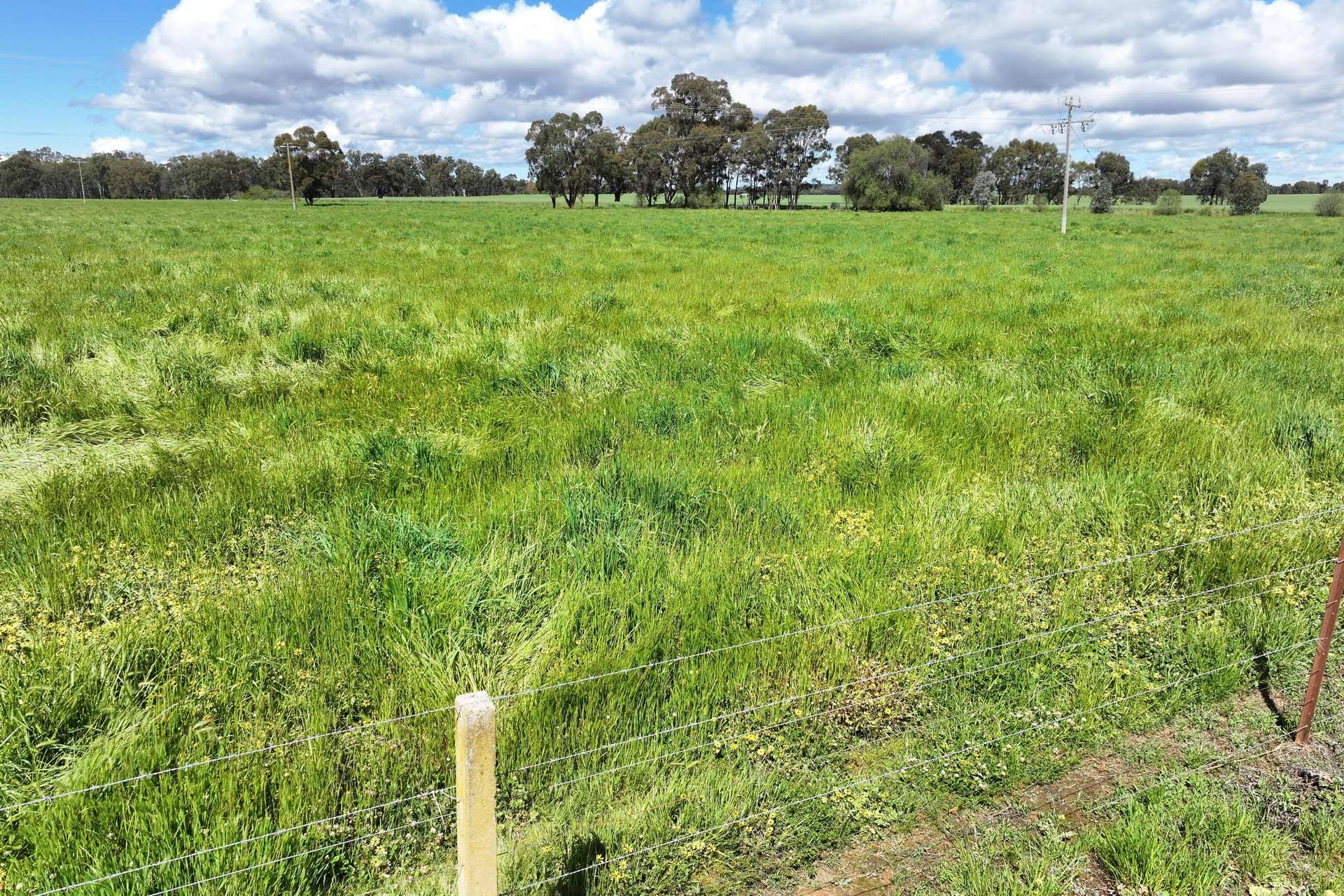 2796 Wanga Wangaratta-Yarrawonga Road, Peechelba For Sale by Farmbuy.com - image 27