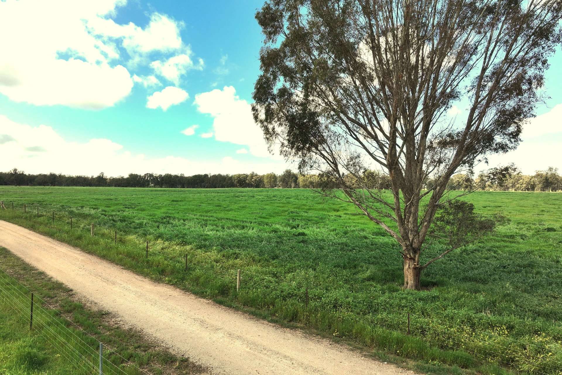2796 Wanga Wangaratta-Yarrawonga Road, Peechelba For Sale by Farmbuy.com - image 32