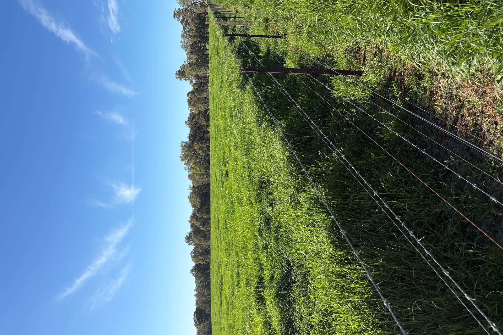 2796 Wanga Wangaratta-Yarrawonga Road, Peechelba For Sale by Farmbuy.com - image 24