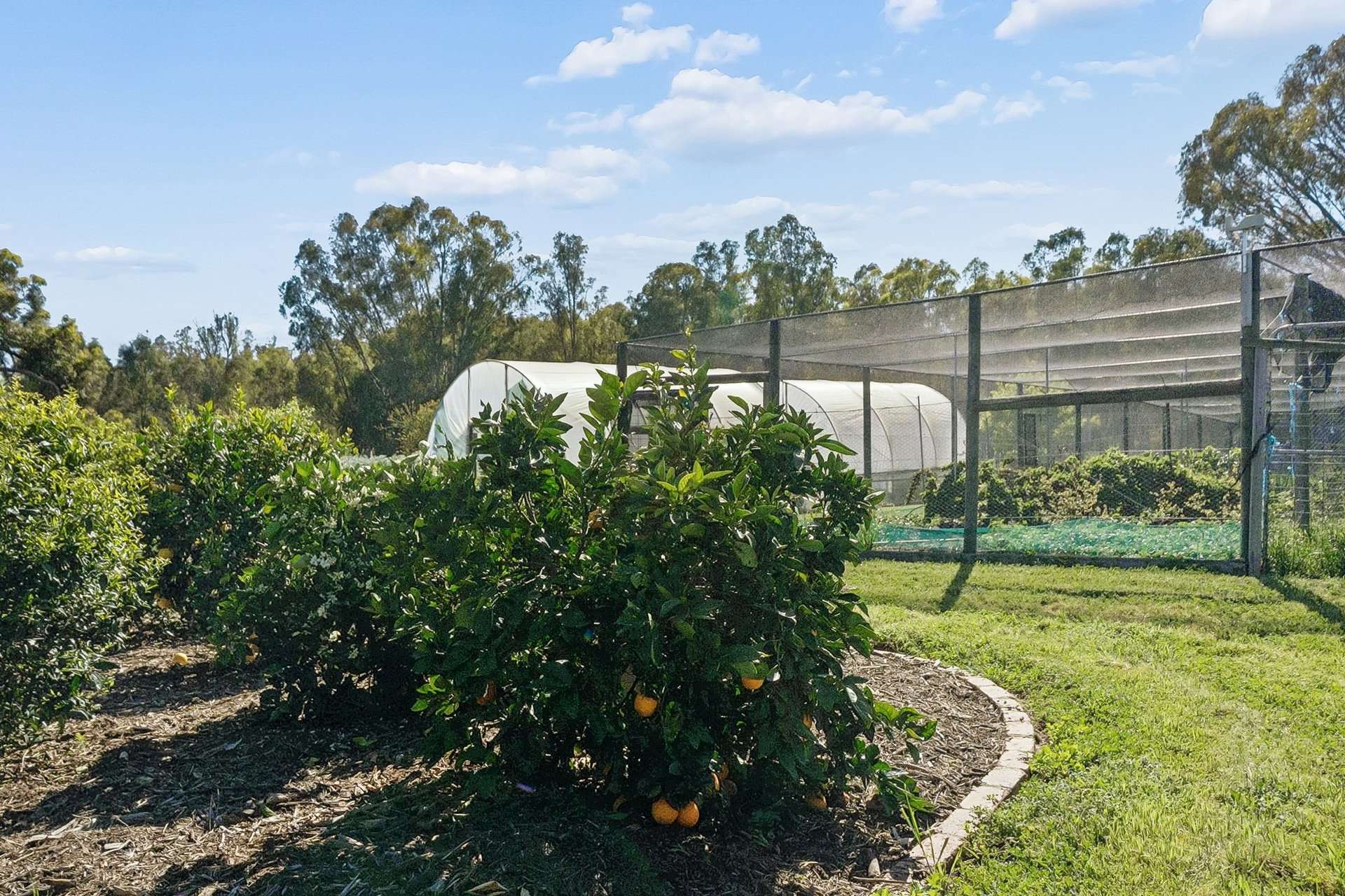 3456 Wangaratta-Yarrawonga Road, Bundalong South For Sale by Farmbuy.com - image 21