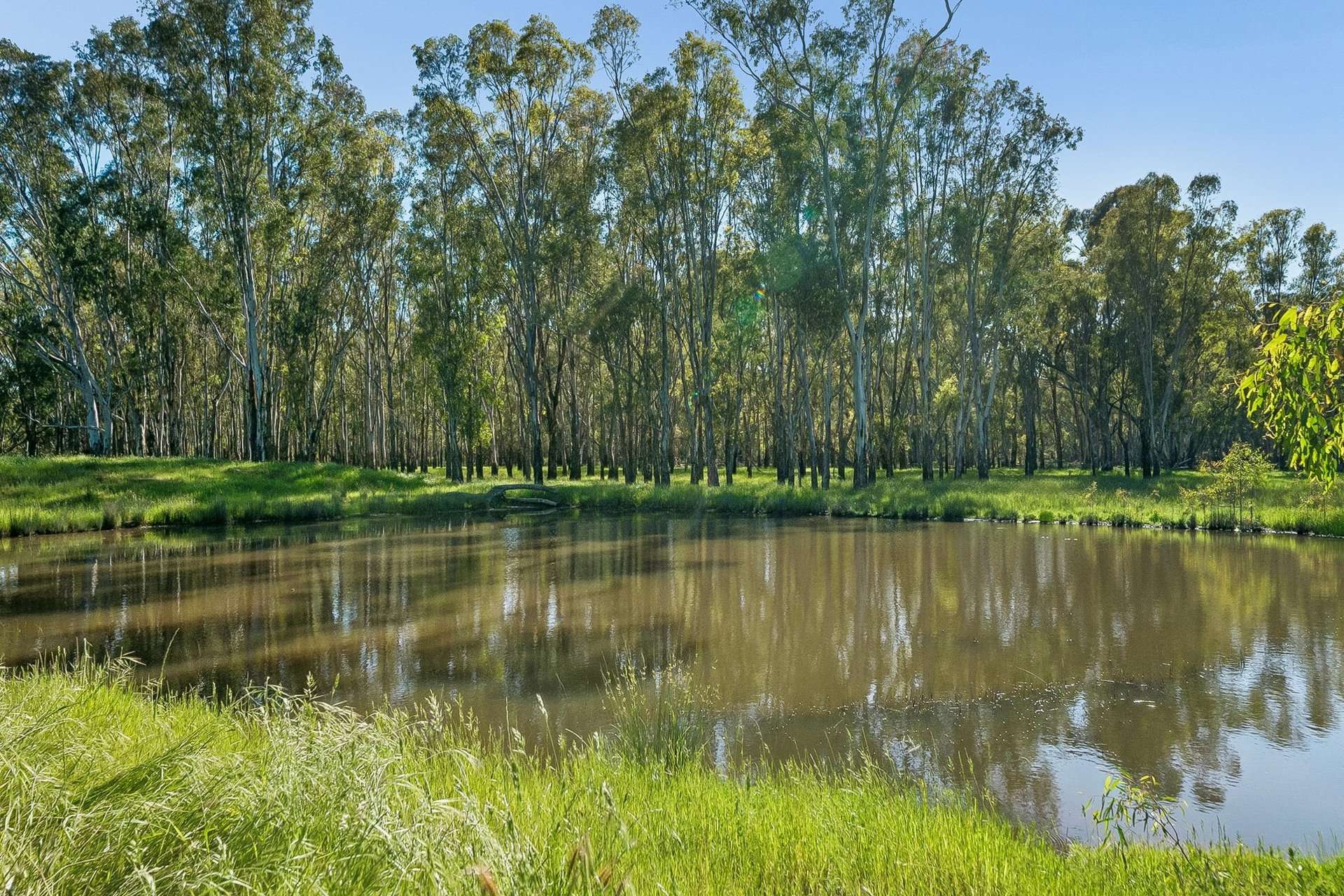 3456 Wangaratta-Yarrawonga Road, Bundalong South For Sale by Farmbuy.com - image 22