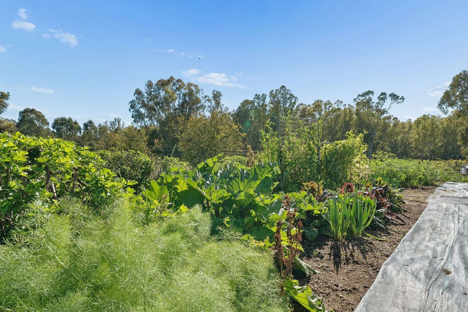 3456 Wangaratta-Yarrawonga Road, Bundalong South For Sale by Farmbuy.com - image 30