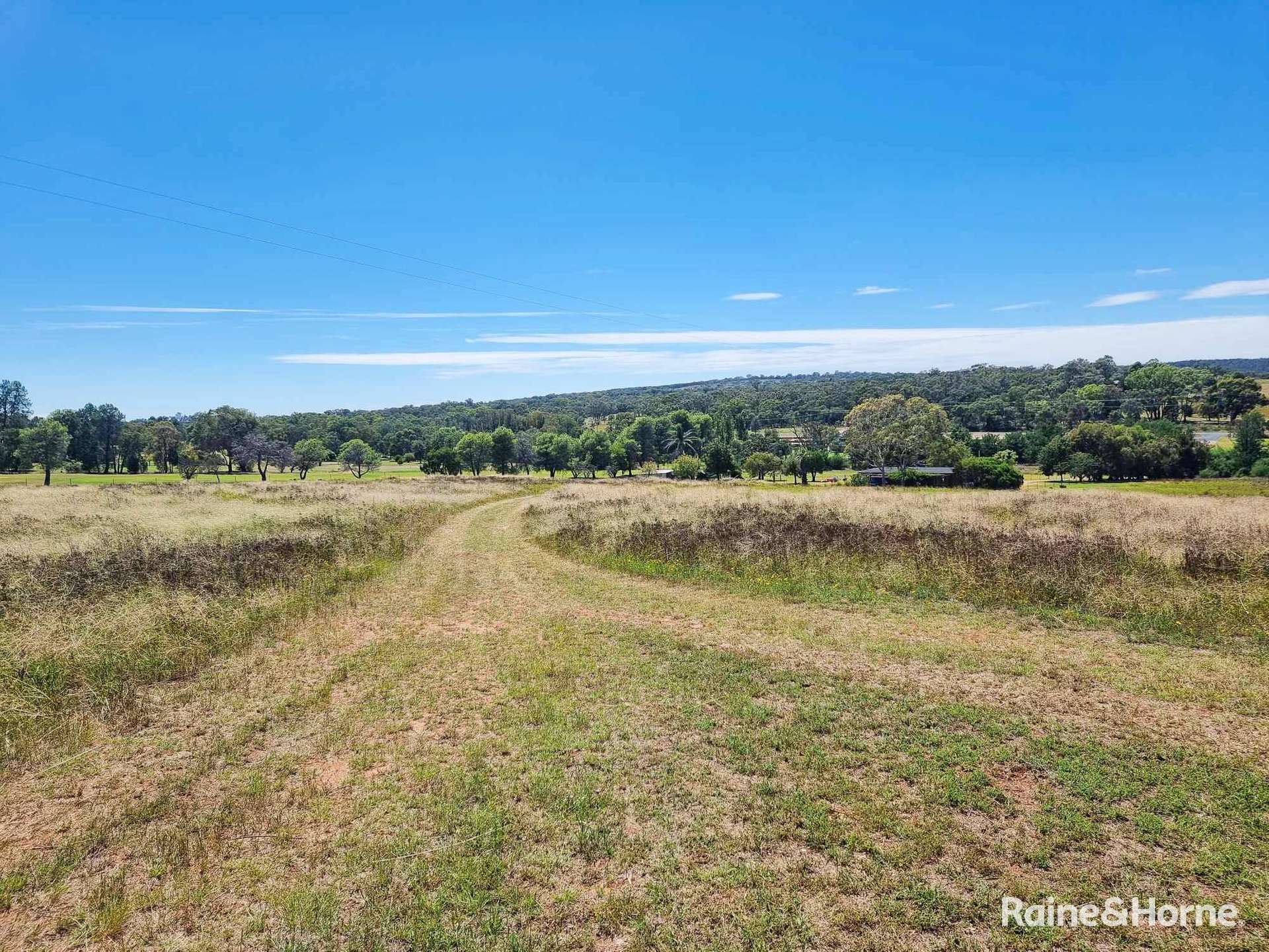 153 Gooloogong Road, Grenfell For Sale by Farmbuy.com - image 11