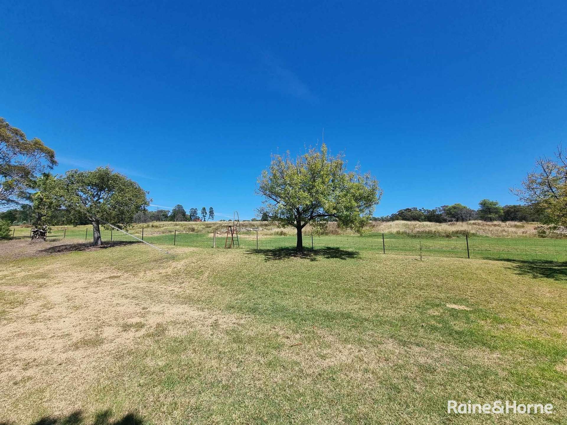 153 Gooloogong Road, Grenfell For Sale by Farmbuy.com - image 10