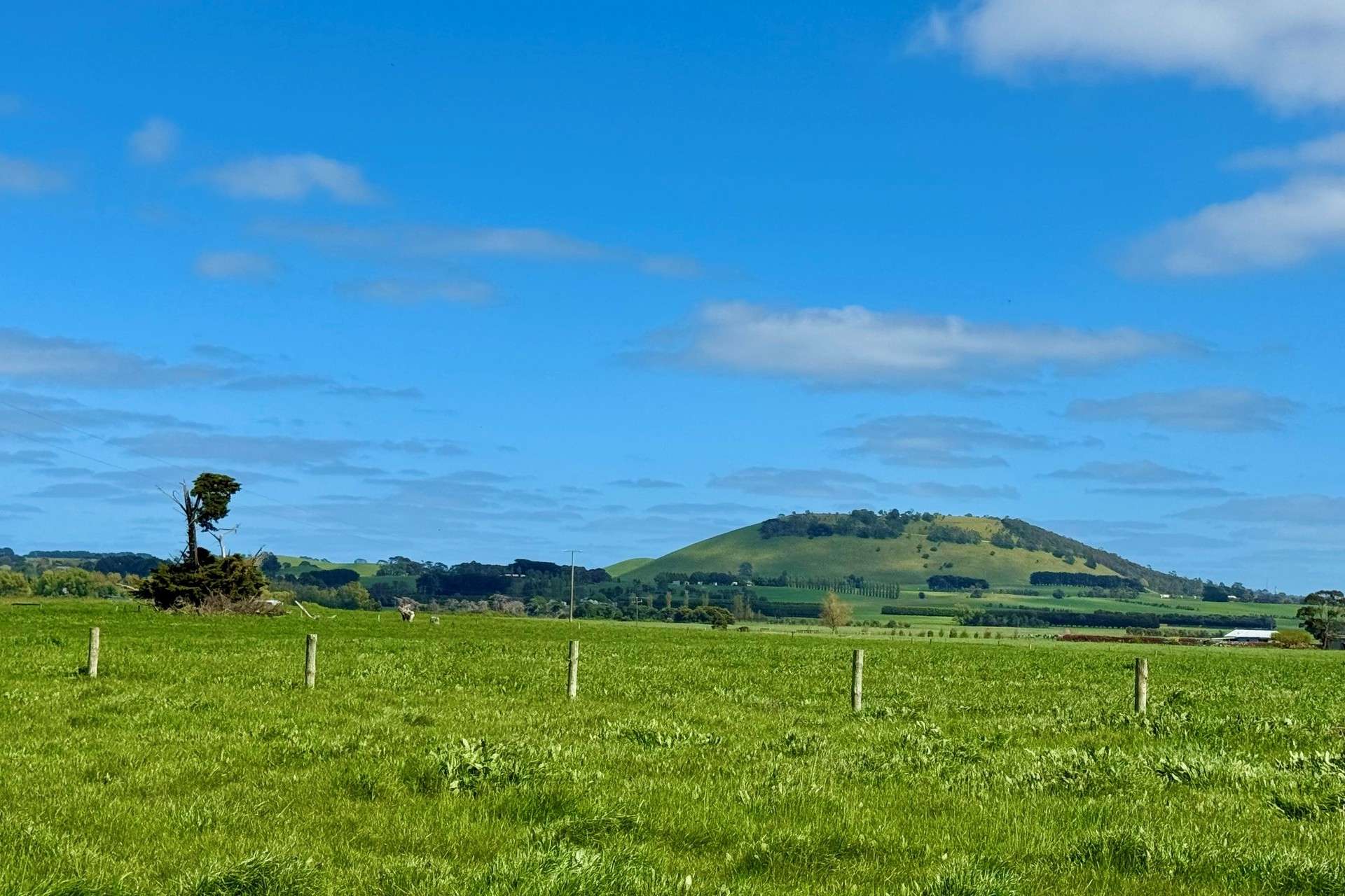 149 Wrights Road, Camperdown For Sale by Farmbuy.com - image 16