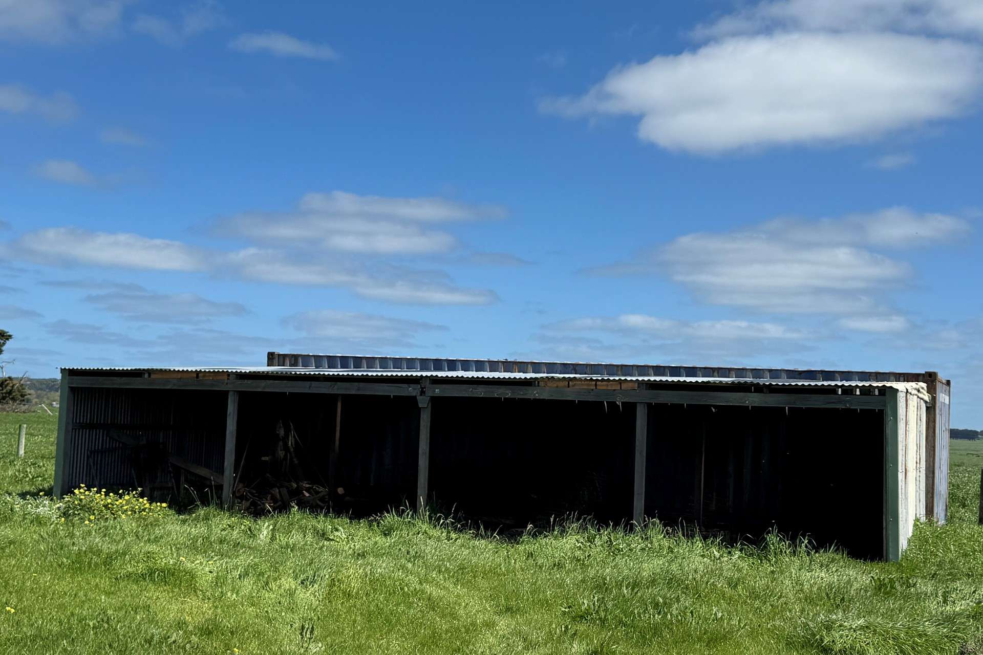 149 Wrights Road, Camperdown For Sale by Farmbuy.com - image 19