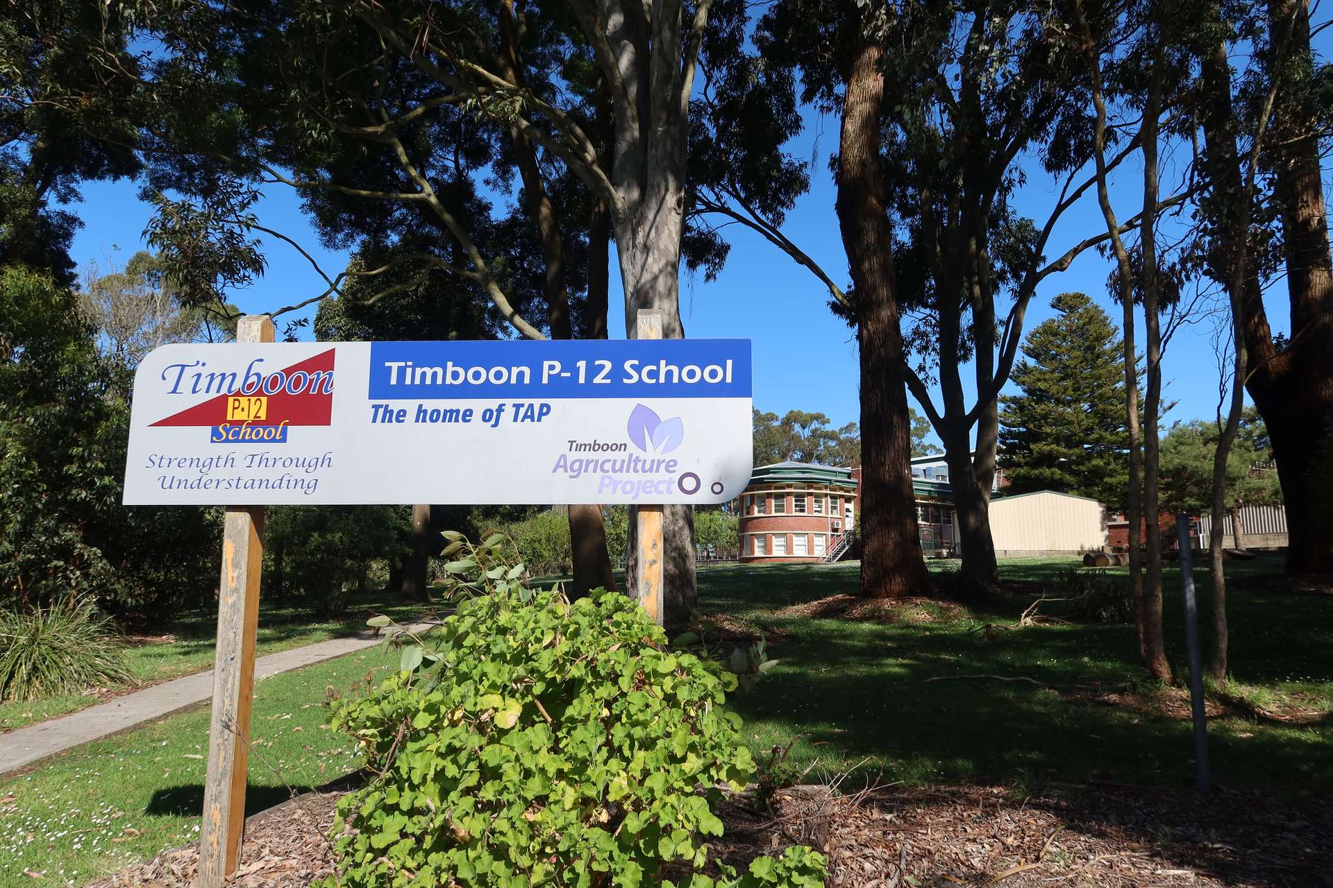 52 Colcott Street, Timboon Tender by Farmbuy.com - image 11