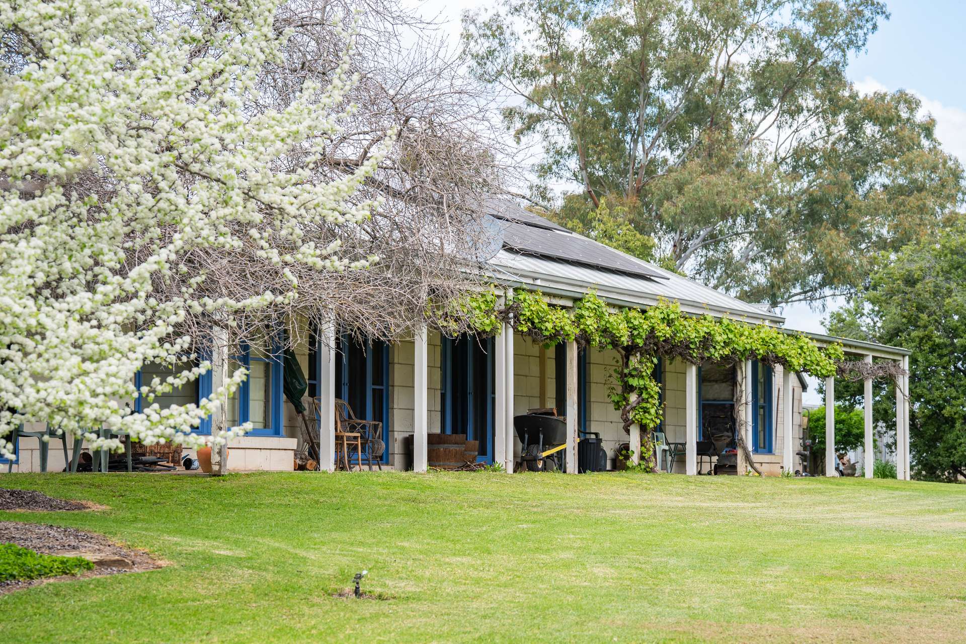 'Nillimbek'/165 Taylors Road, Culcairn Auction by Farmbuy.com - image 2
