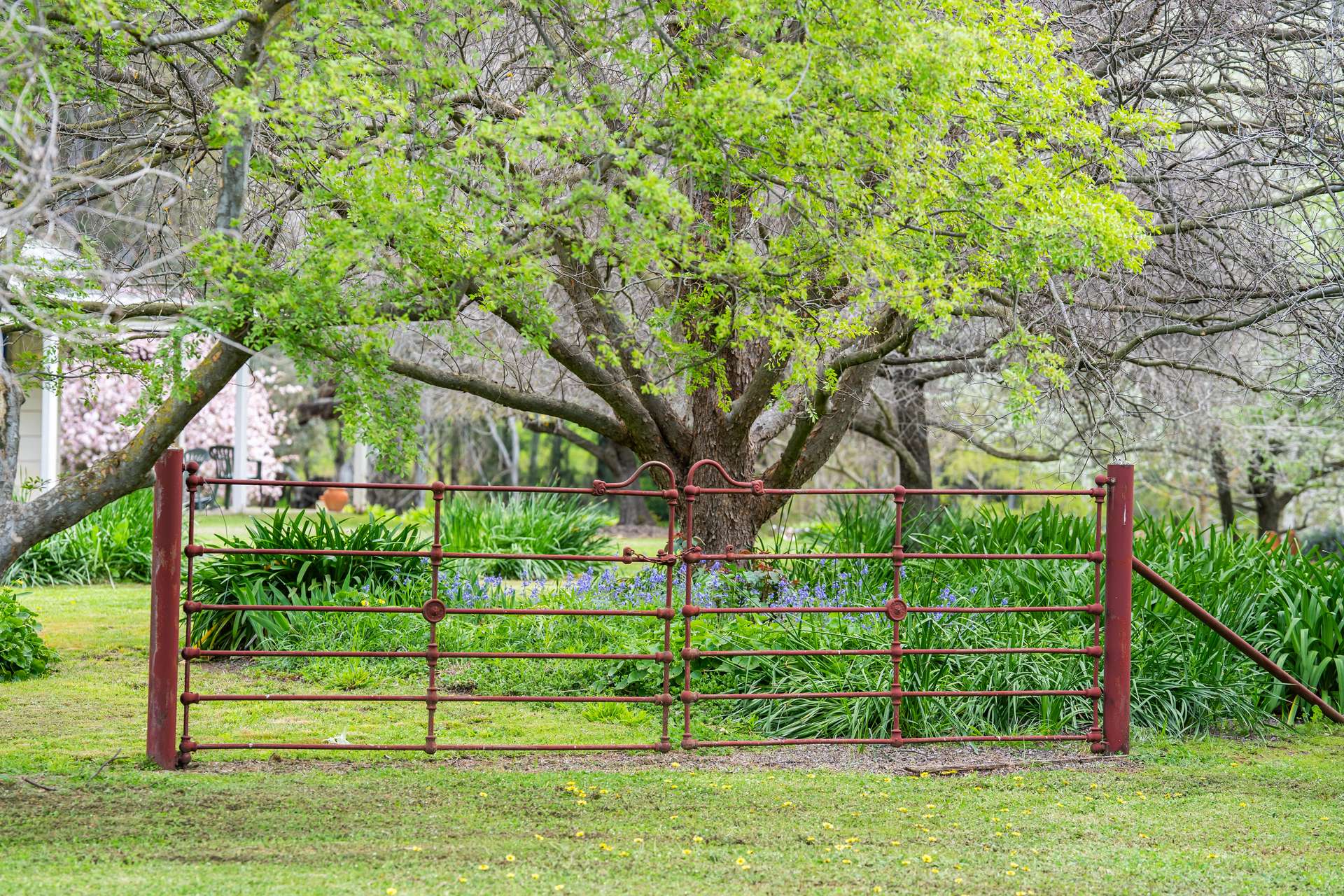 'Nillimbek'/165 Taylors Road, Culcairn Auction by Farmbuy.com - image 6