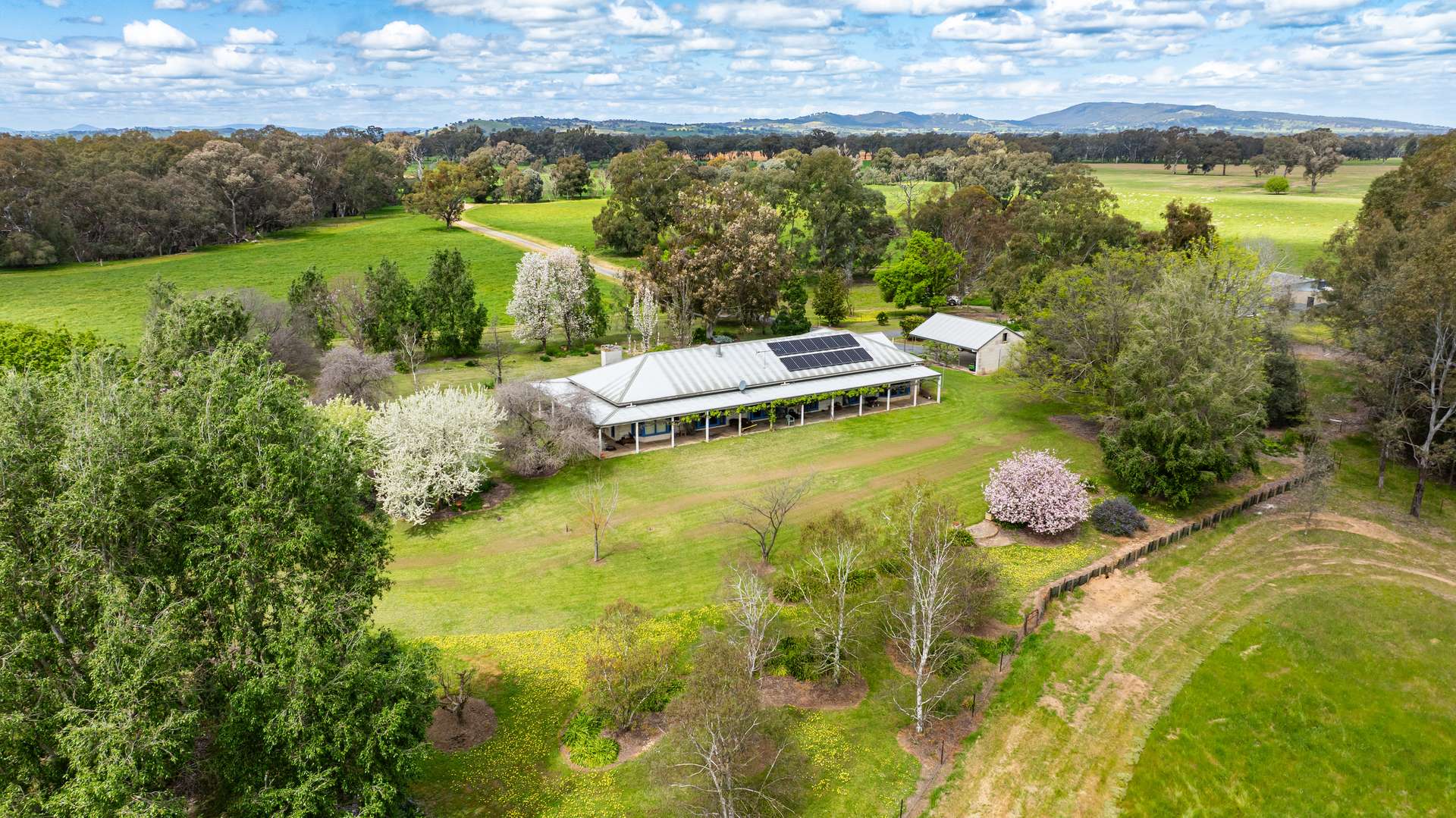 'Nillimbek'/165 Taylors Road, Culcairn Auction by Farmbuy.com - image 16