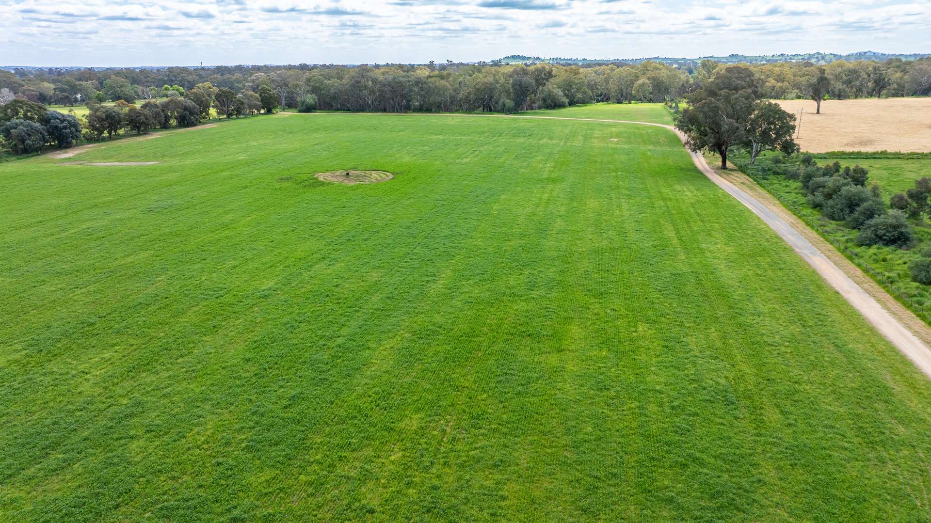 'Nillimbek'/165 Taylors Road, Culcairn Auction by Farmbuy.com - image 18