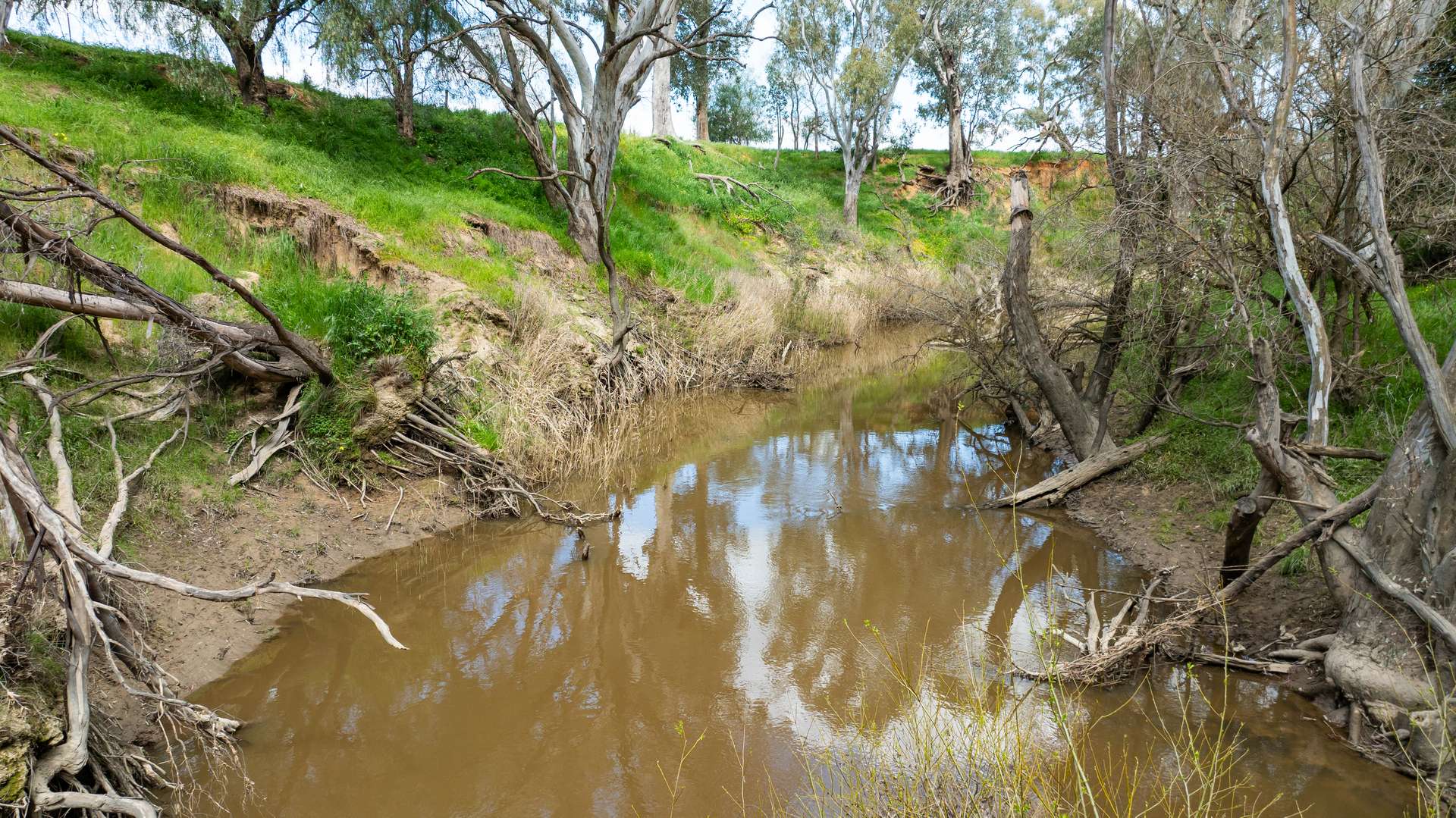 'Nillimbek'/165 Taylors Road, Culcairn Auction by Farmbuy.com - image 12