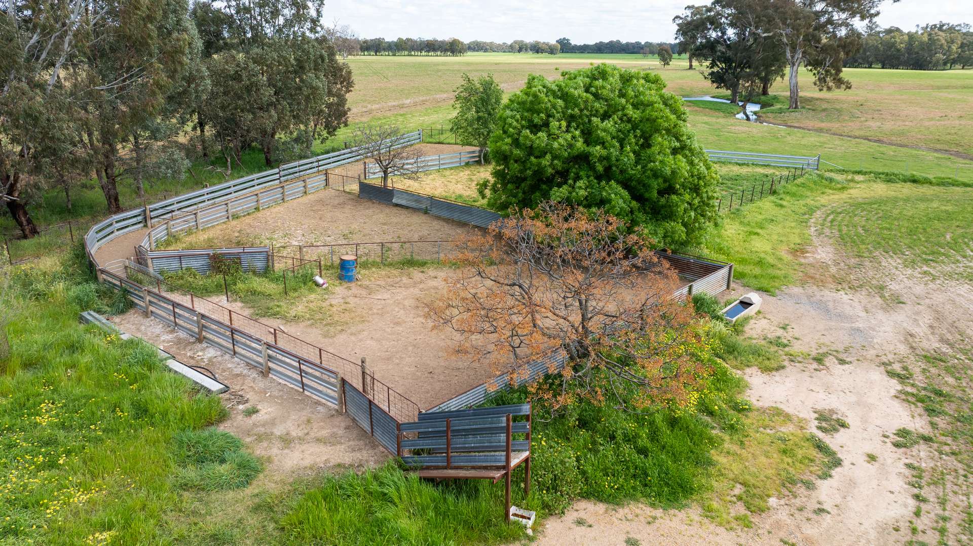 'Nillimbek'/165 Taylors Road, Culcairn Auction by Farmbuy.com - image 10