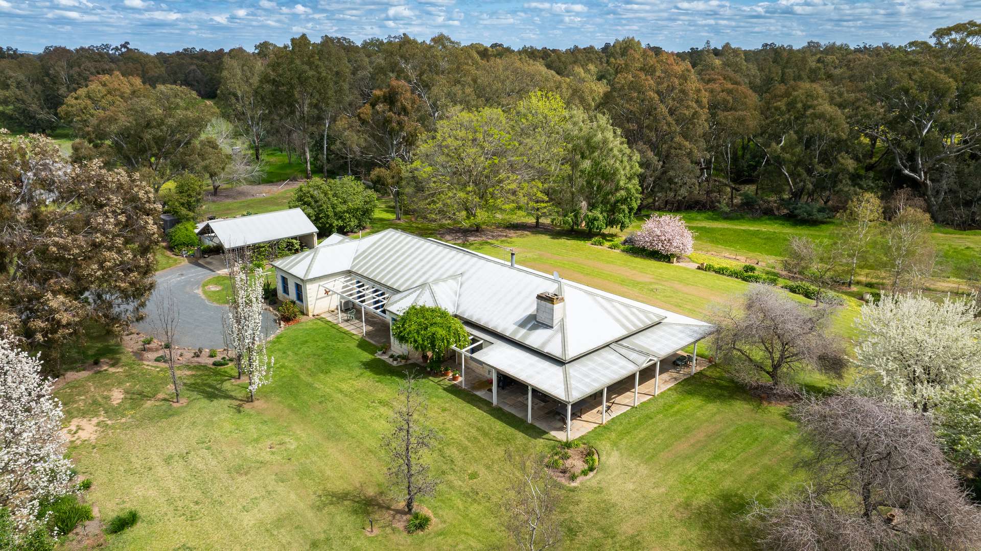 'Nillimbek'/165 Taylors Road, Culcairn Auction by Farmbuy.com - image 5