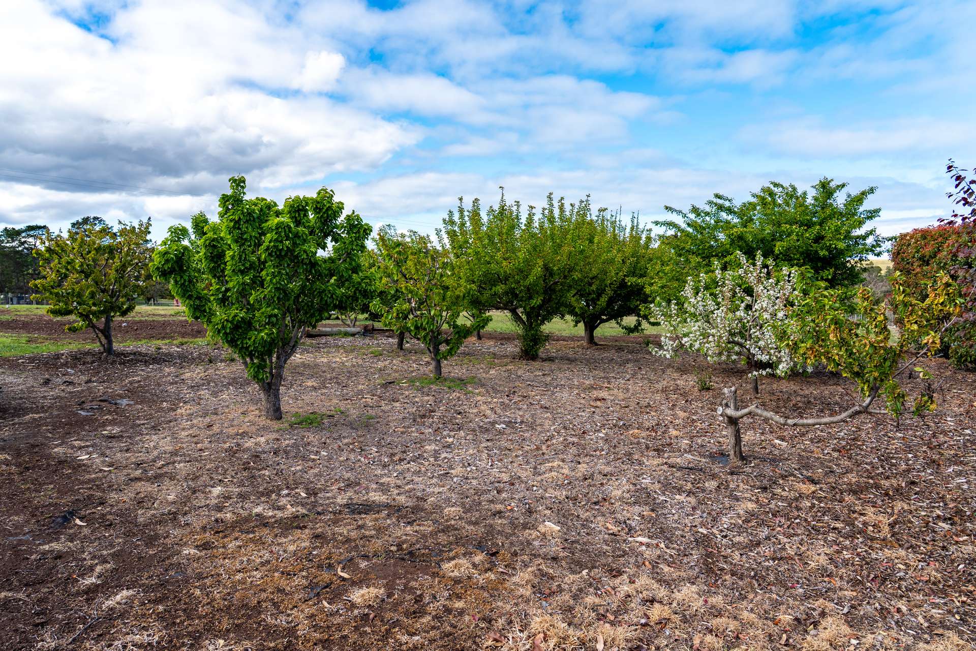 587 Arthur Highway, Forcett For Sale by Farmbuy.com - image 27
