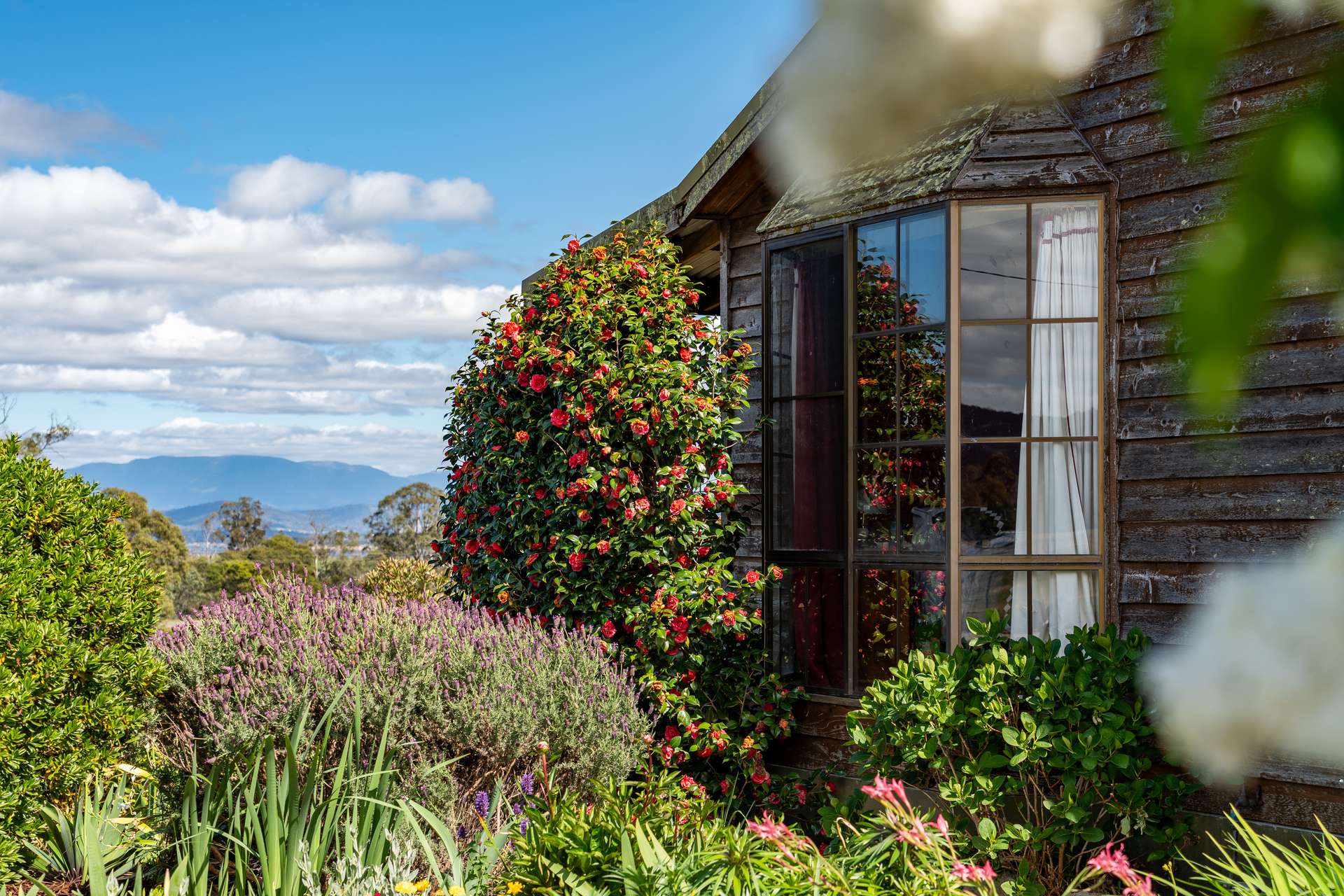 587 Arthur Highway, Forcett For Sale by Farmbuy.com - image 28