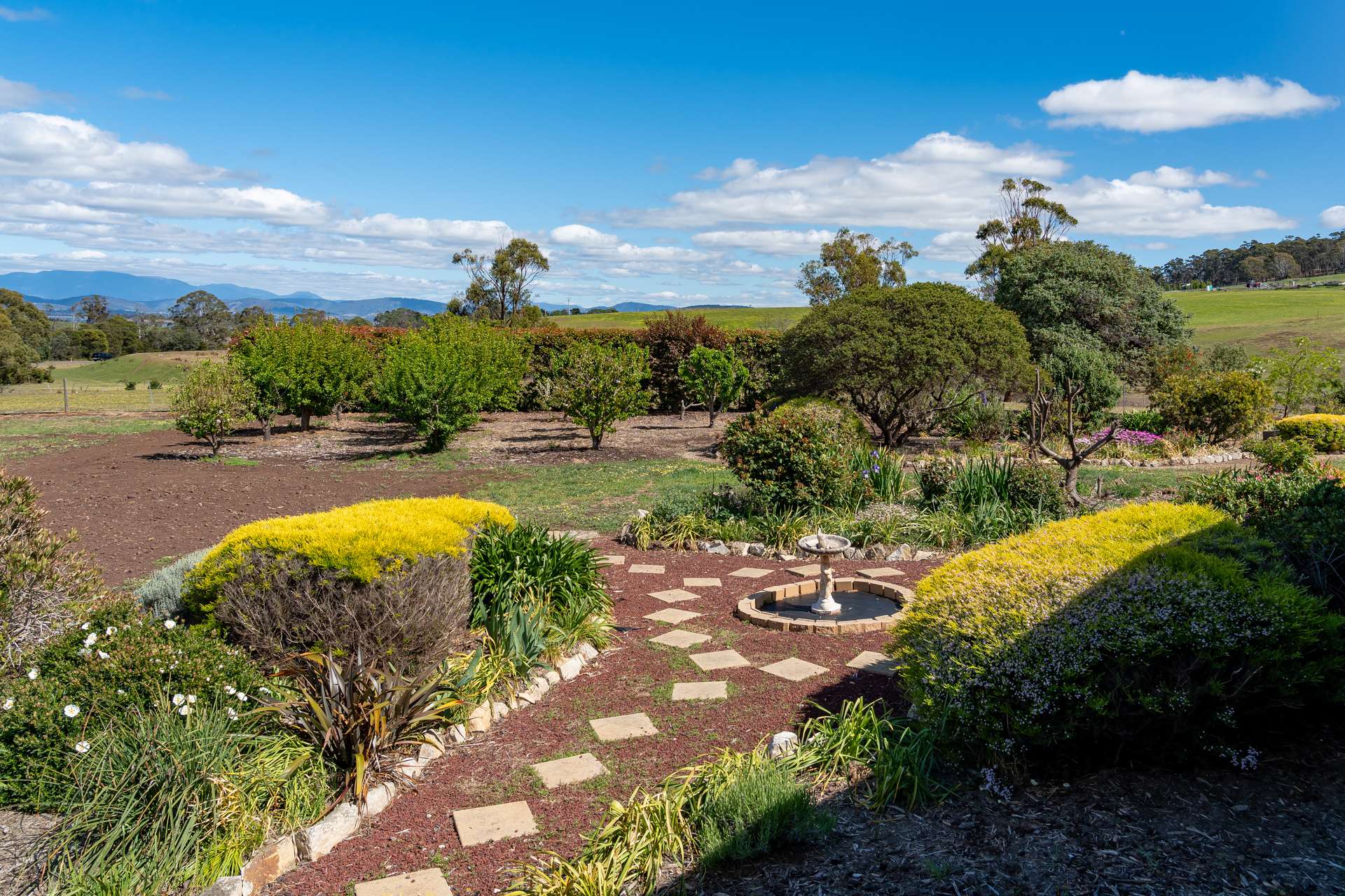 587 Arthur Highway, Forcett For Sale by Farmbuy.com - image 25