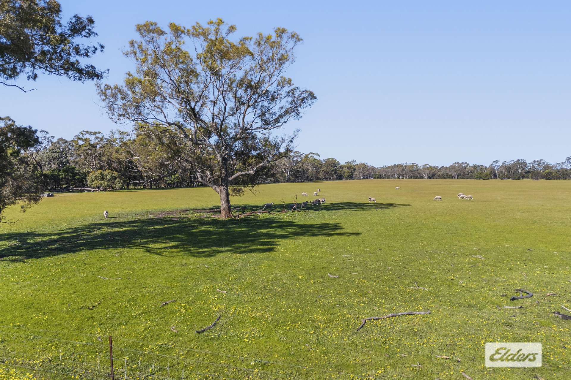 Lot 1,  Pomonal Road, Pomonal For Sale by Farmbuy.com - image 7