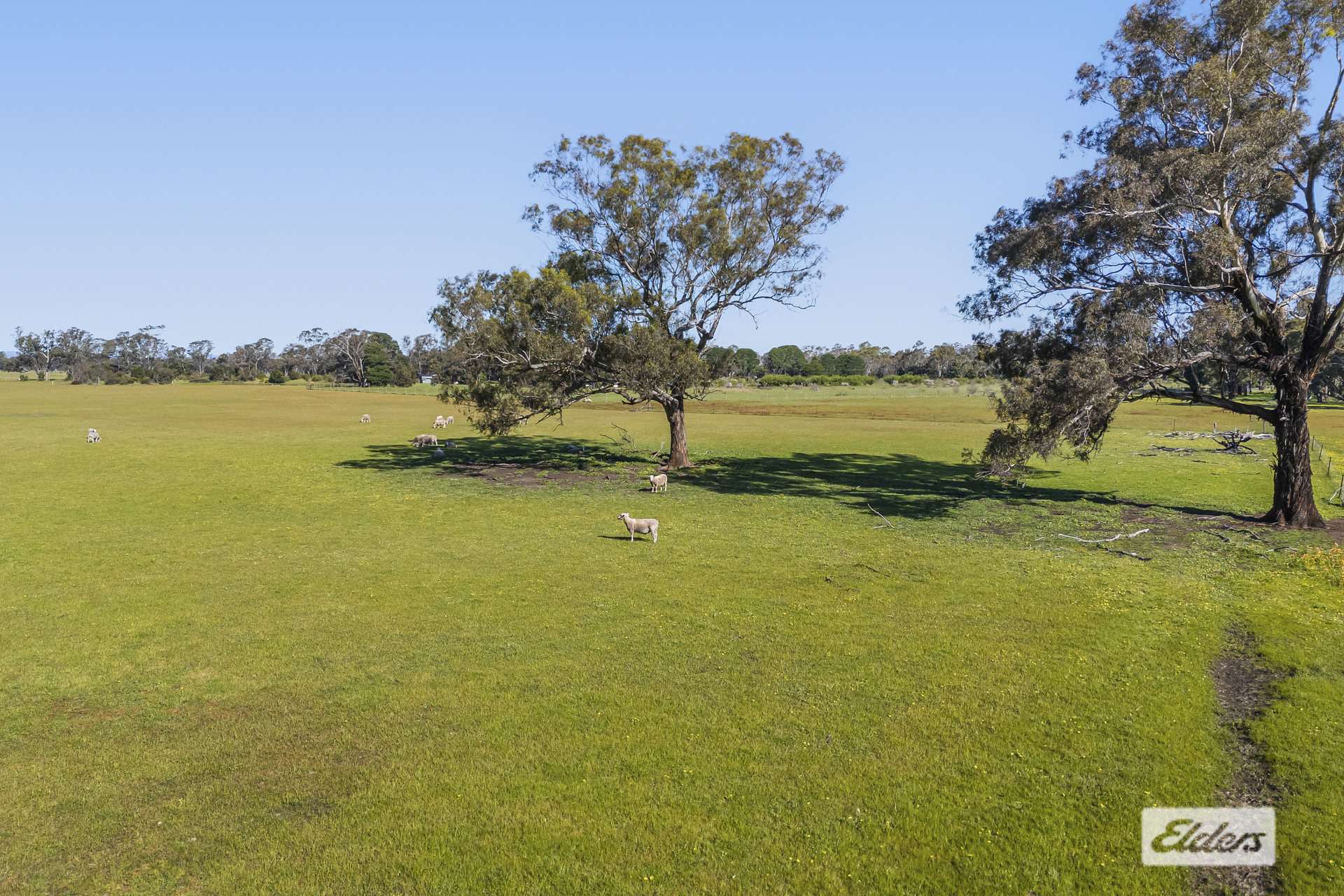 Lot 1,  Pomonal Road, Pomonal For Sale by Farmbuy.com - image 6