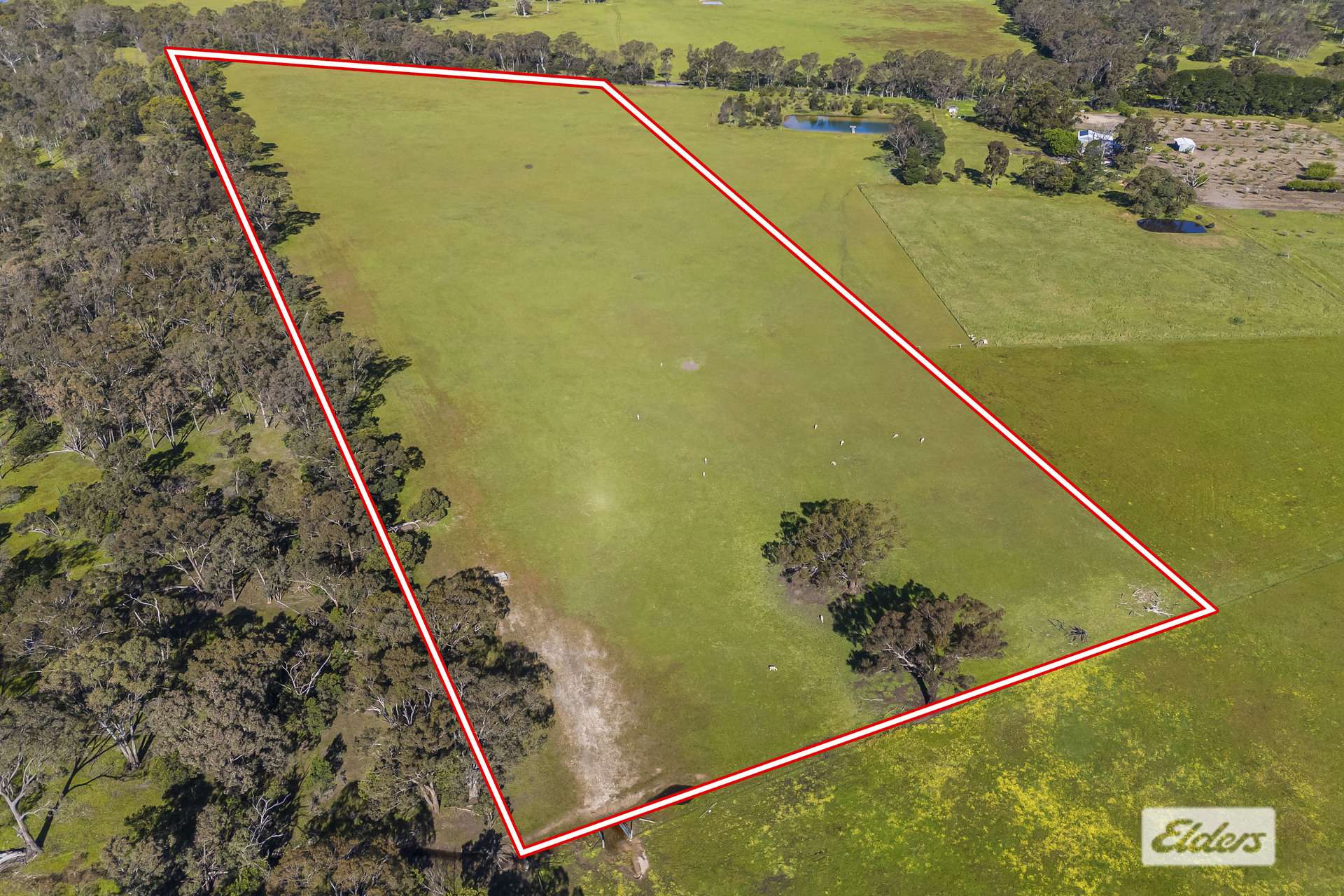 Lot 1,  Pomonal Road, Pomonal For Sale by Farmbuy.com - image 5