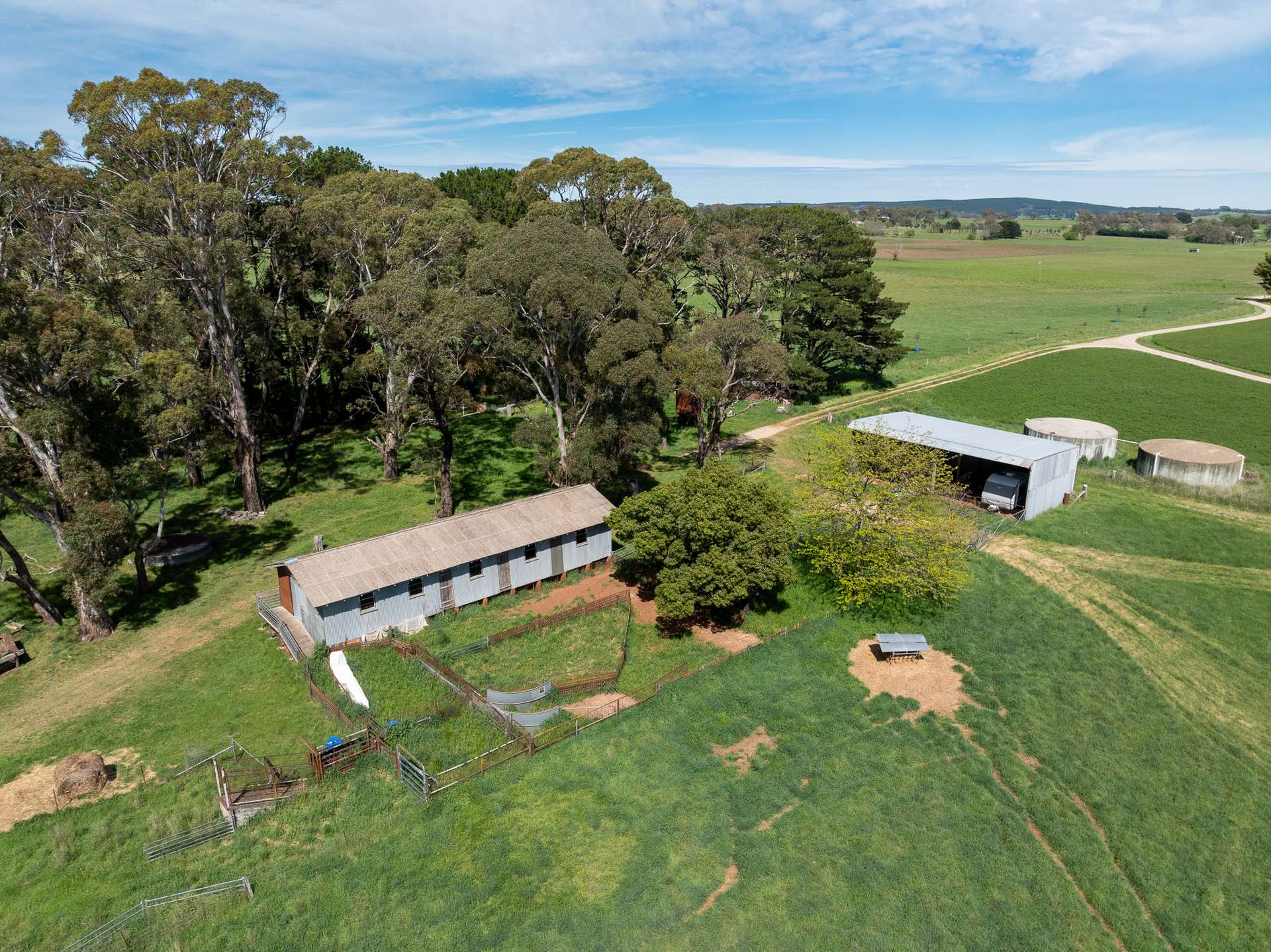 74 Curralea Lane, Forest Reefs Auction by Farmbuy.com - image 20