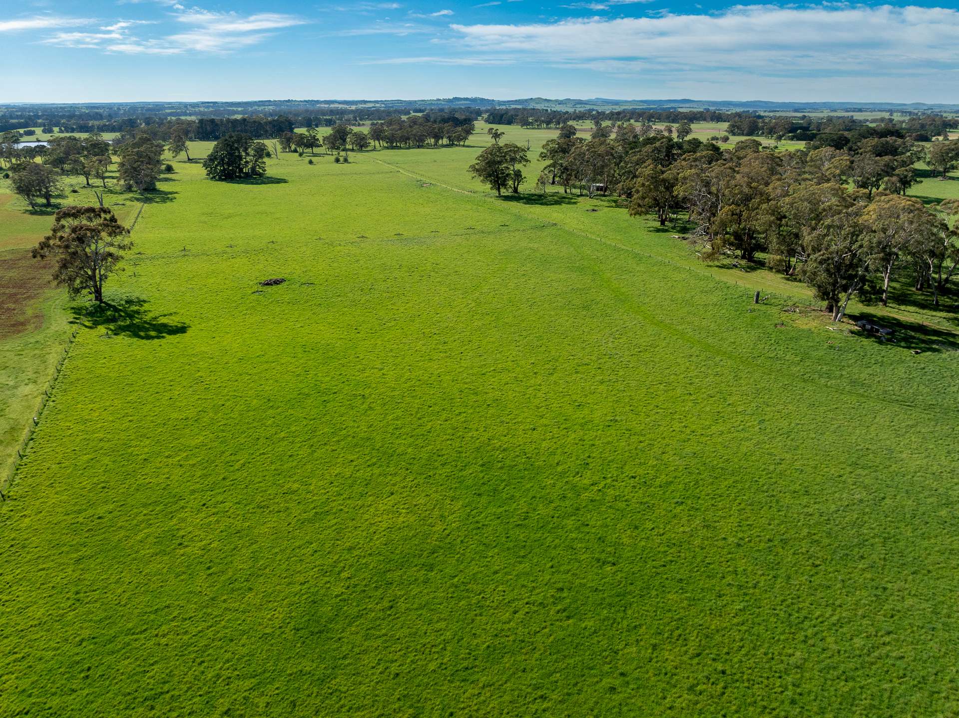74 Curralea Lane, Forest Reefs Auction by Farmbuy.com - image 24
