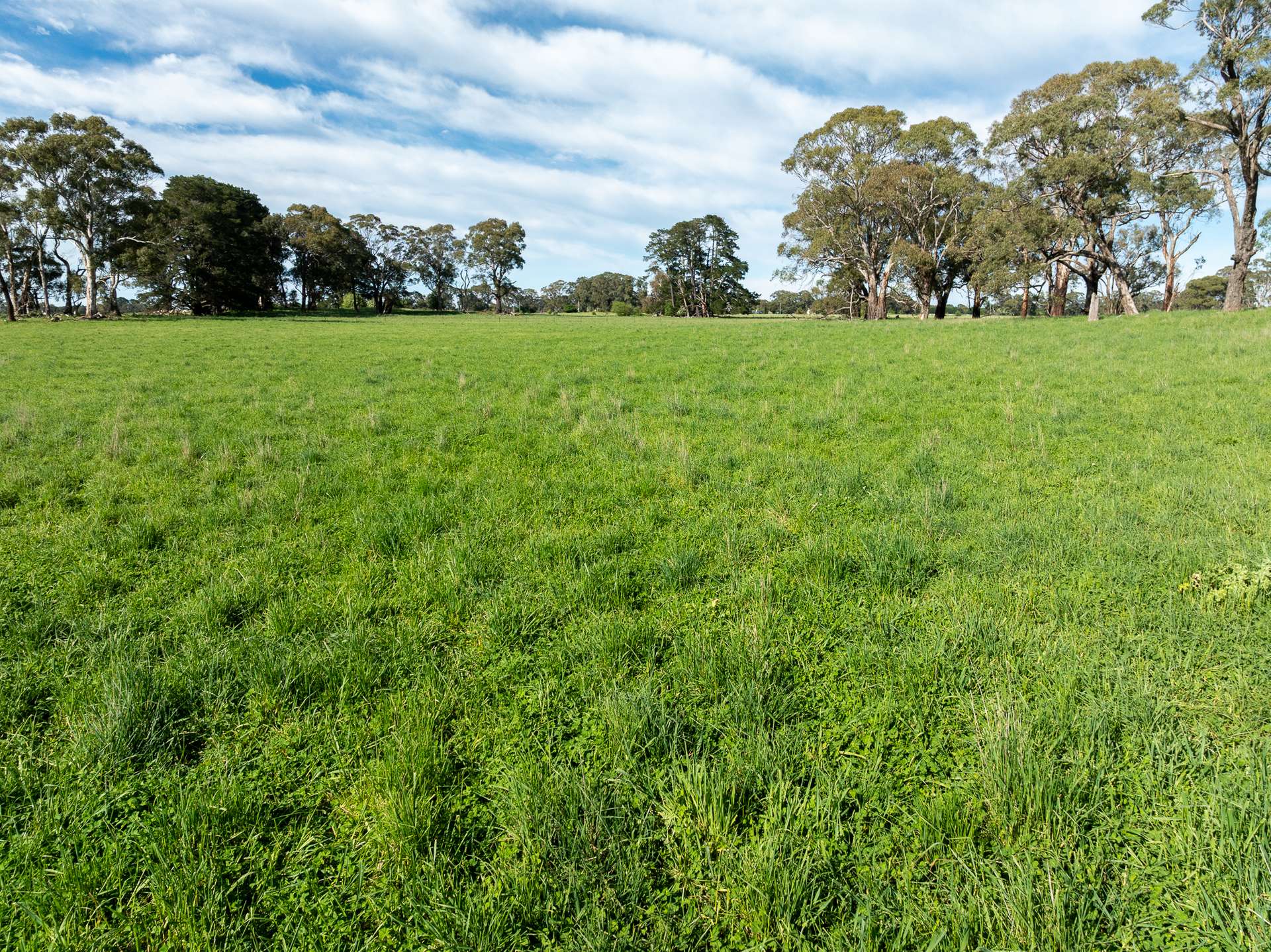 74 Curralea Lane, Forest Reefs Auction by Farmbuy.com - image 26