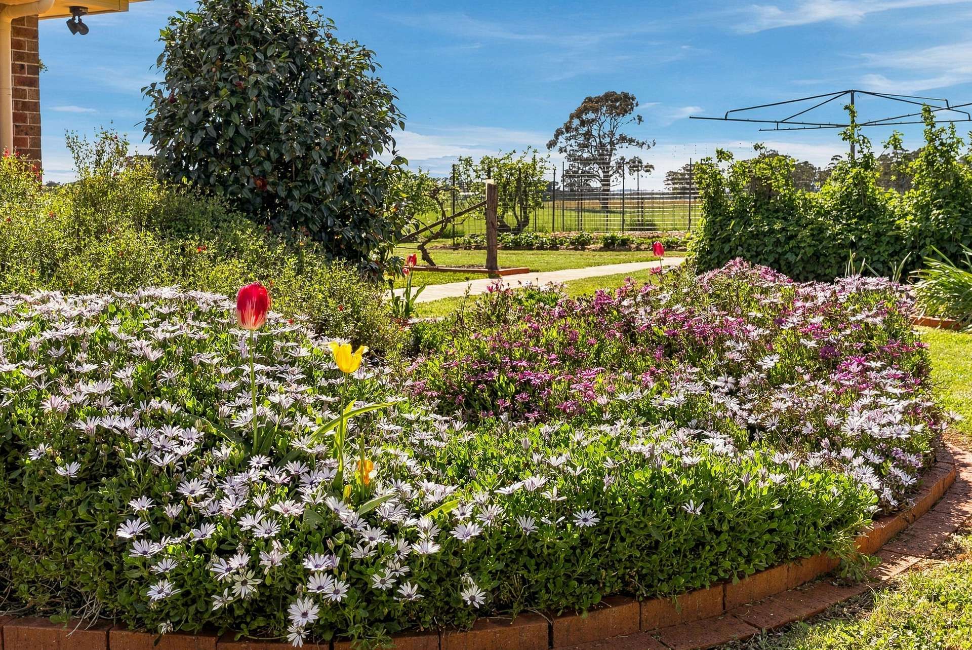 74 Curralea Lane, Forest Reefs Auction by Farmbuy.com - image 17