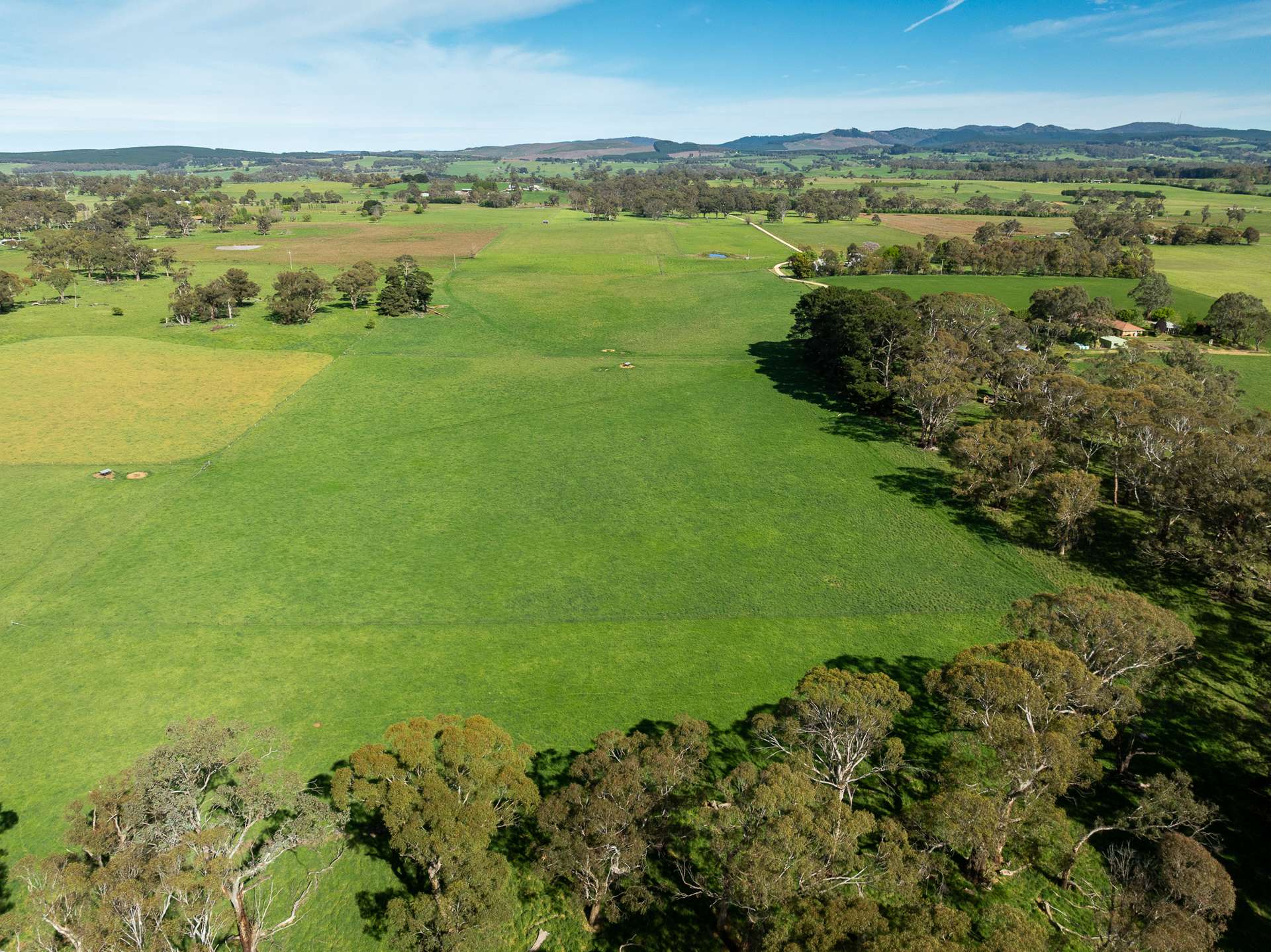 74 Curralea Lane, Forest Reefs Auction by Farmbuy.com - image 25