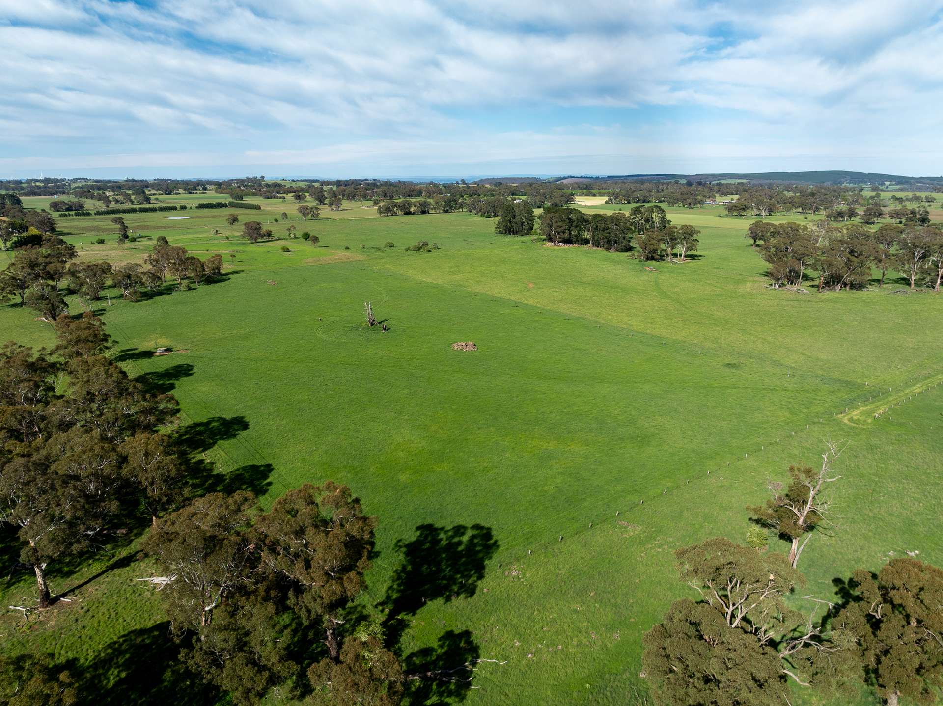 74 Curralea Lane, Forest Reefs Auction by Farmbuy.com - image 23