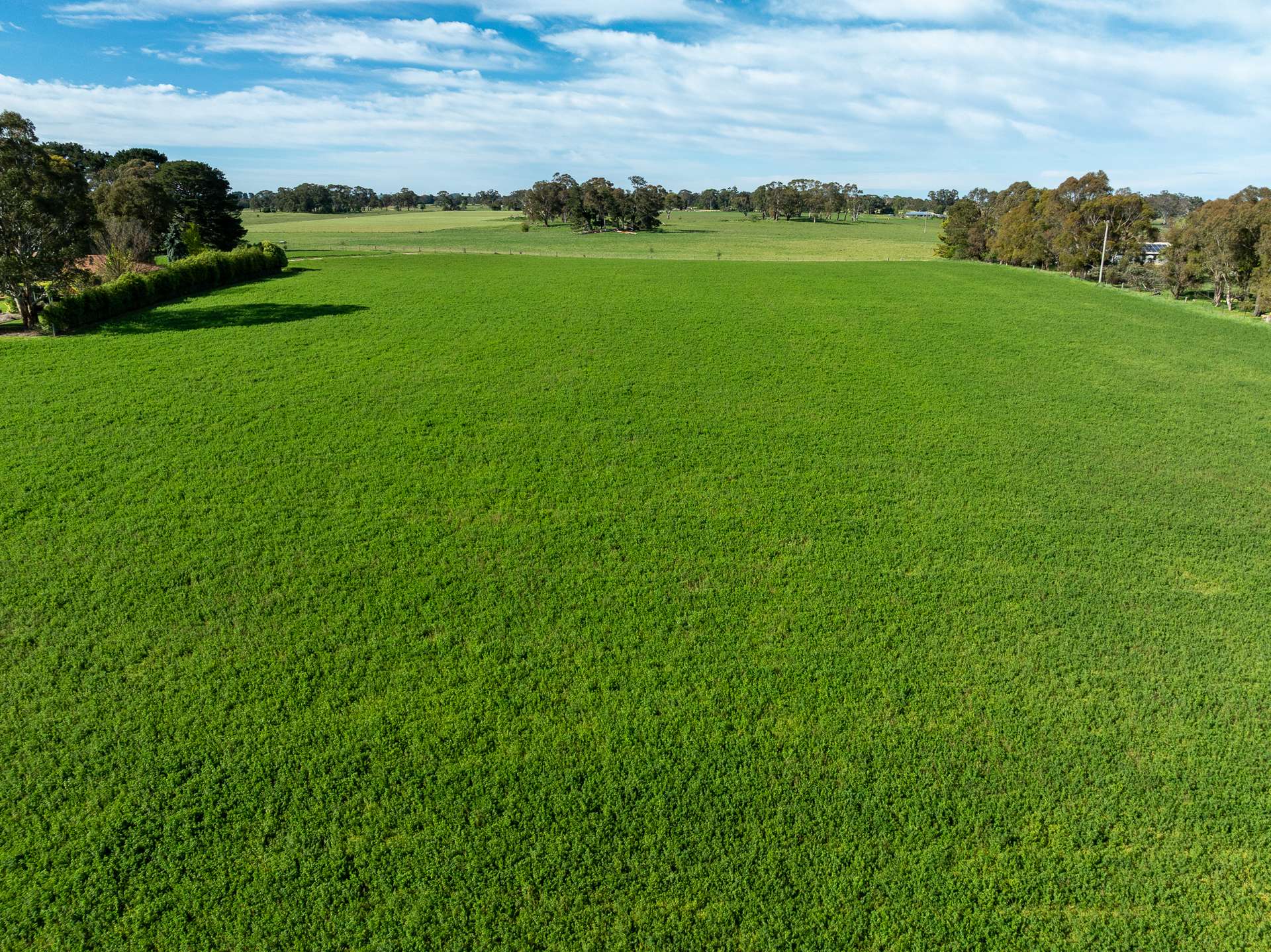 74 Curralea Lane, Forest Reefs Auction by Farmbuy.com - image 3