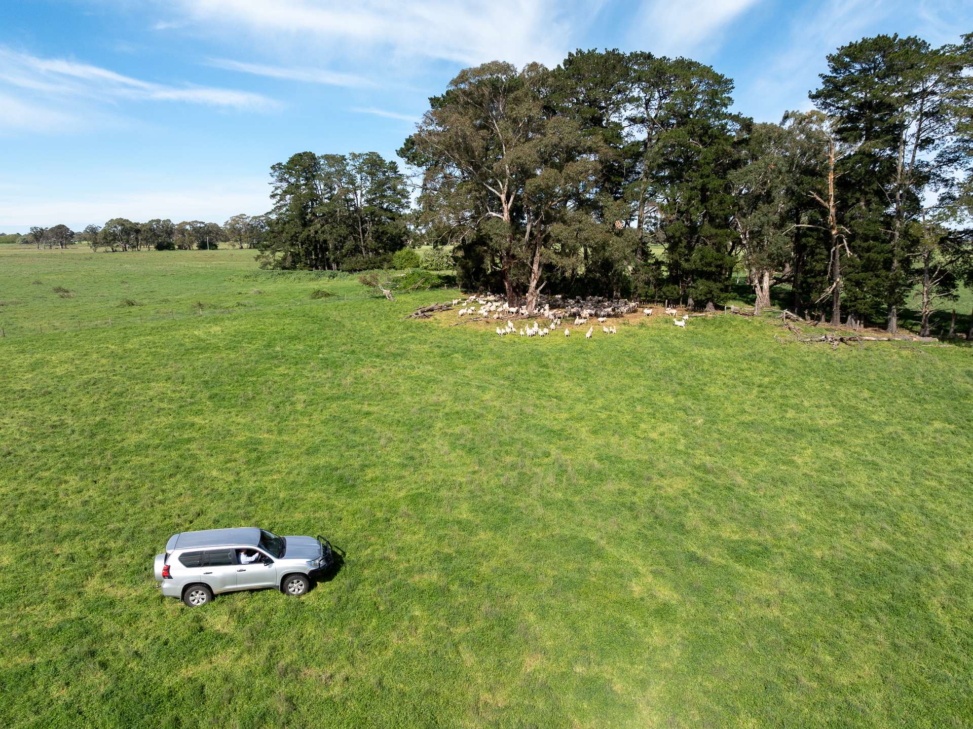 74 Curralea Lane, Forest Reefs Auction by Farmbuy.com - image 27