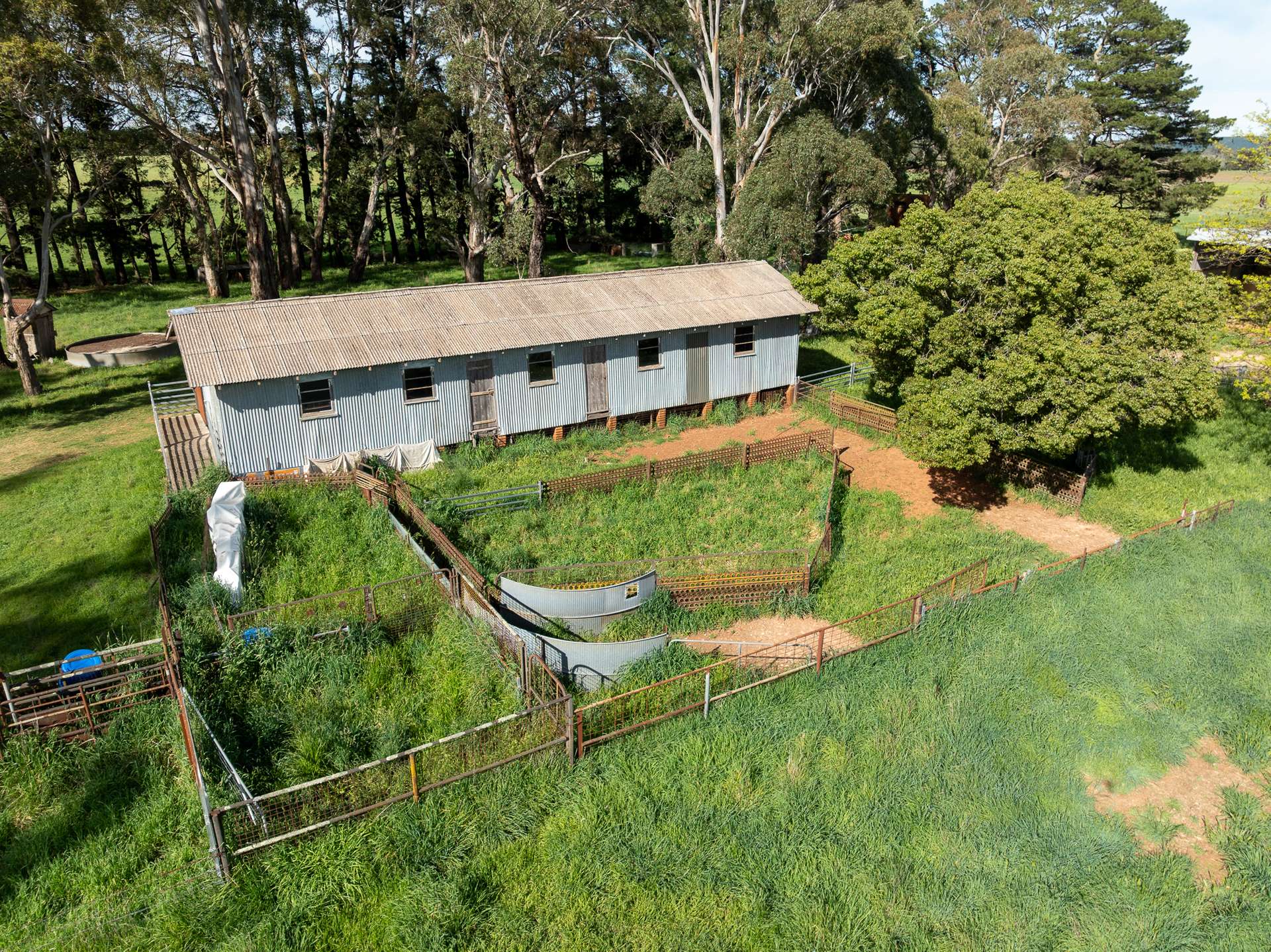 74 Curralea Lane, Forest Reefs Auction by Farmbuy.com - image 19