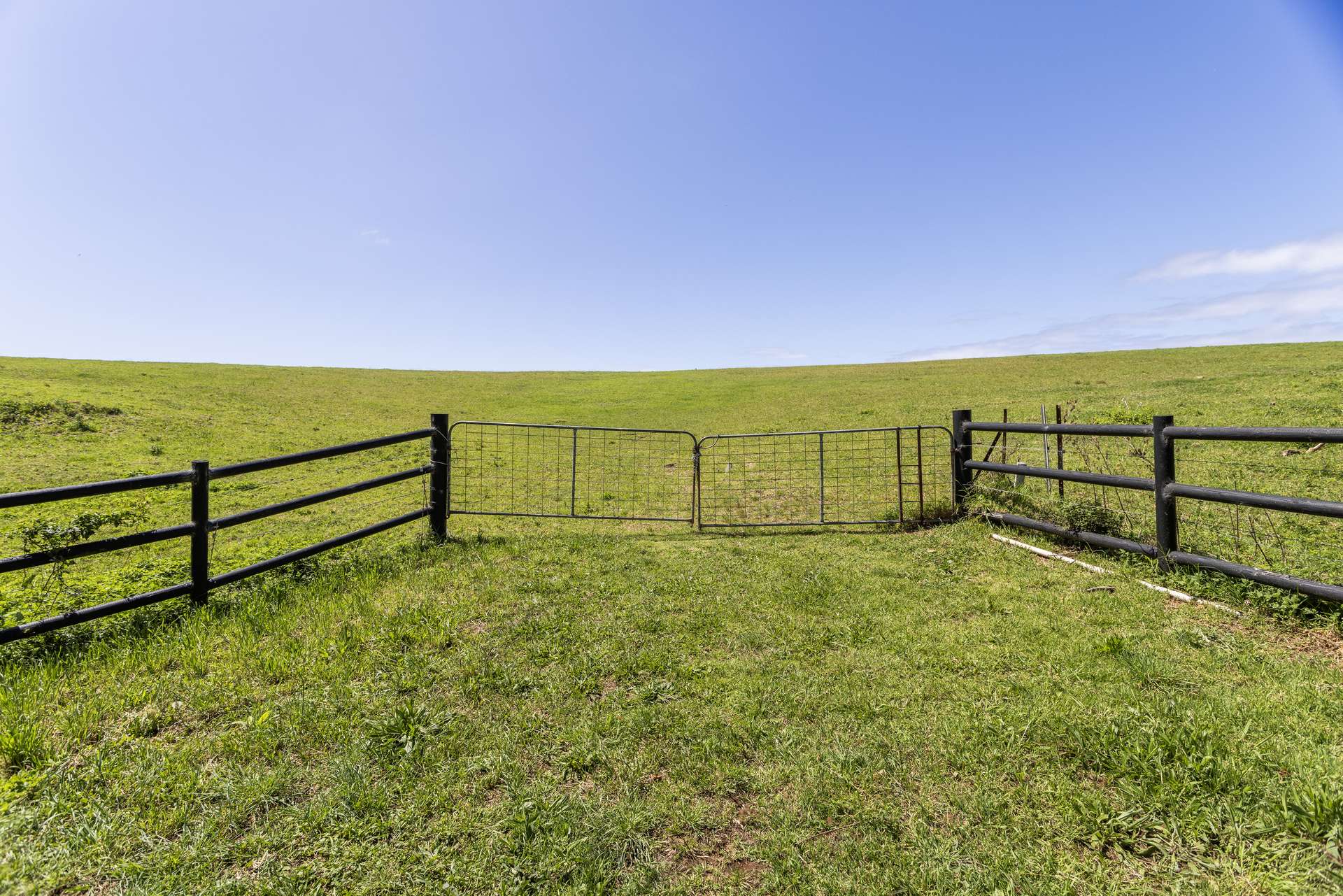 168 Fern Street, Gerringong Auction by Farmbuy.com - image 10