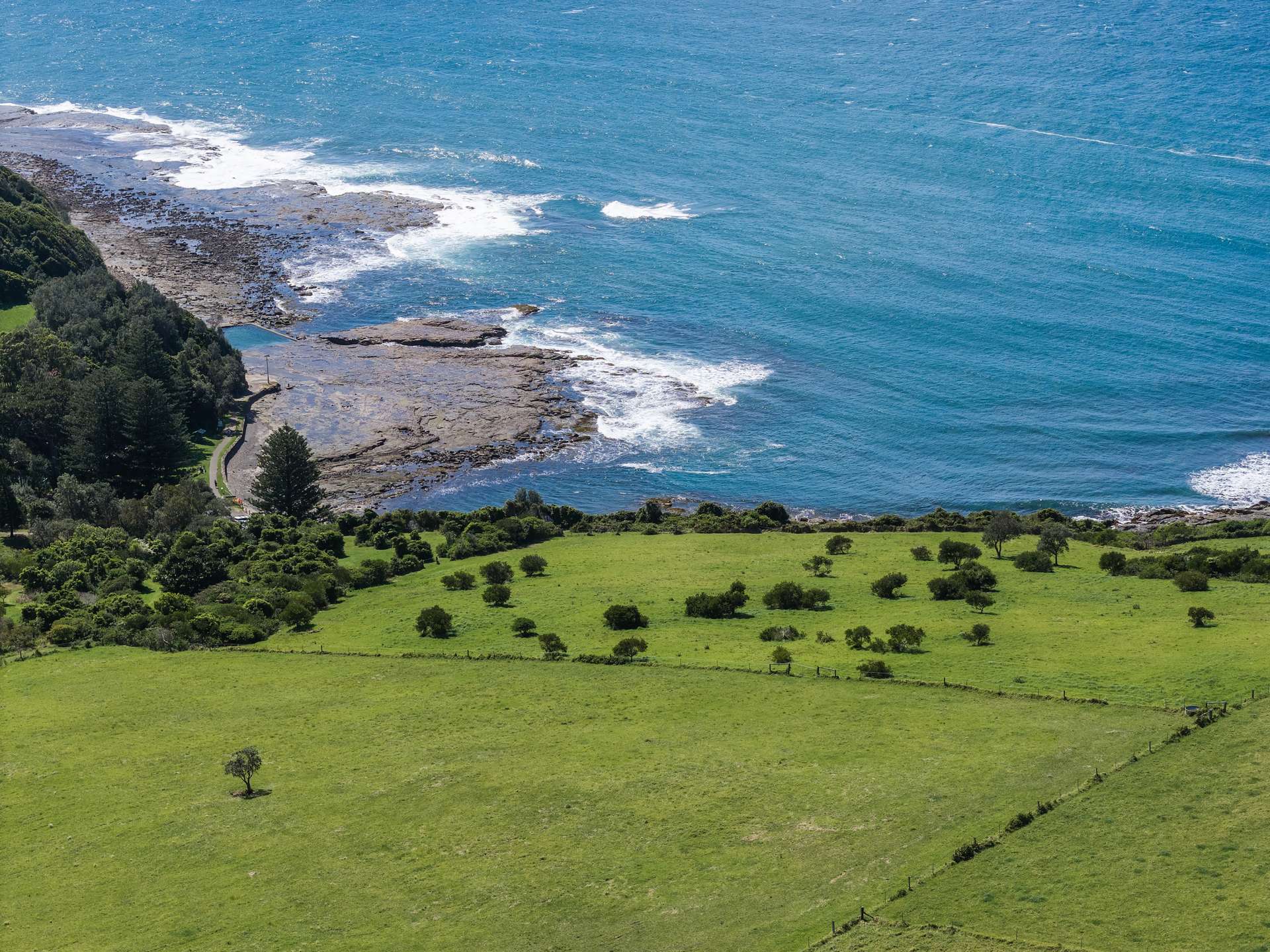 168 Fern Street, Gerringong Auction by Farmbuy.com - image 3