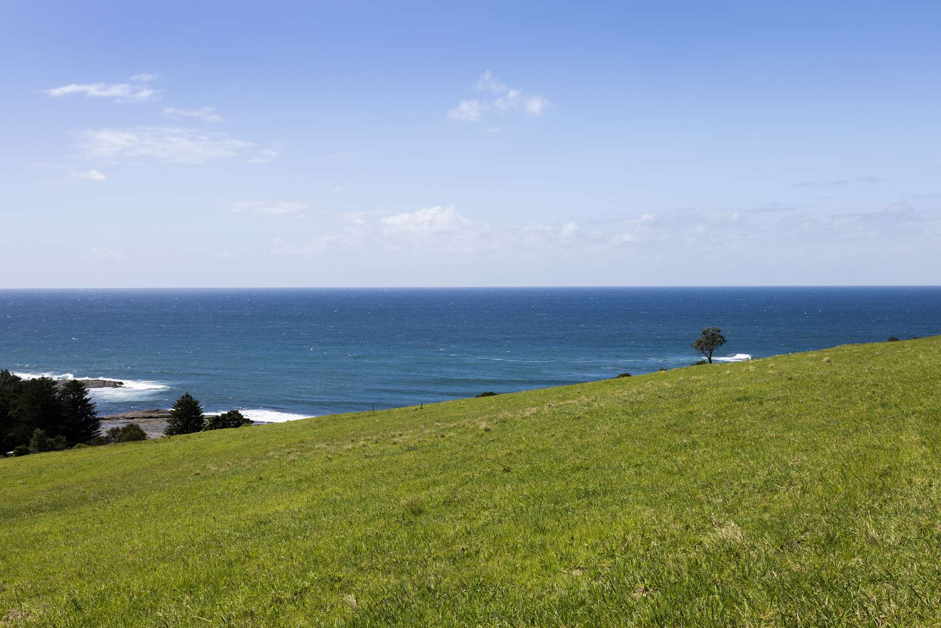 168 Fern Street, Gerringong Auction by Farmbuy.com - image 6