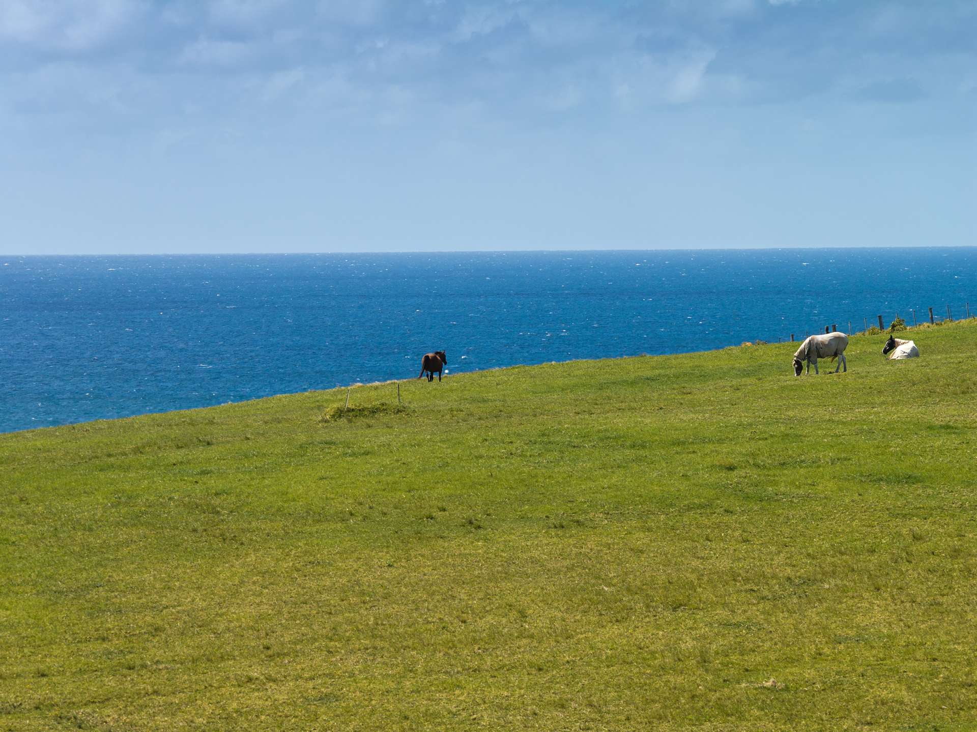 168 Fern Street, Gerringong Auction by Farmbuy.com - image 11