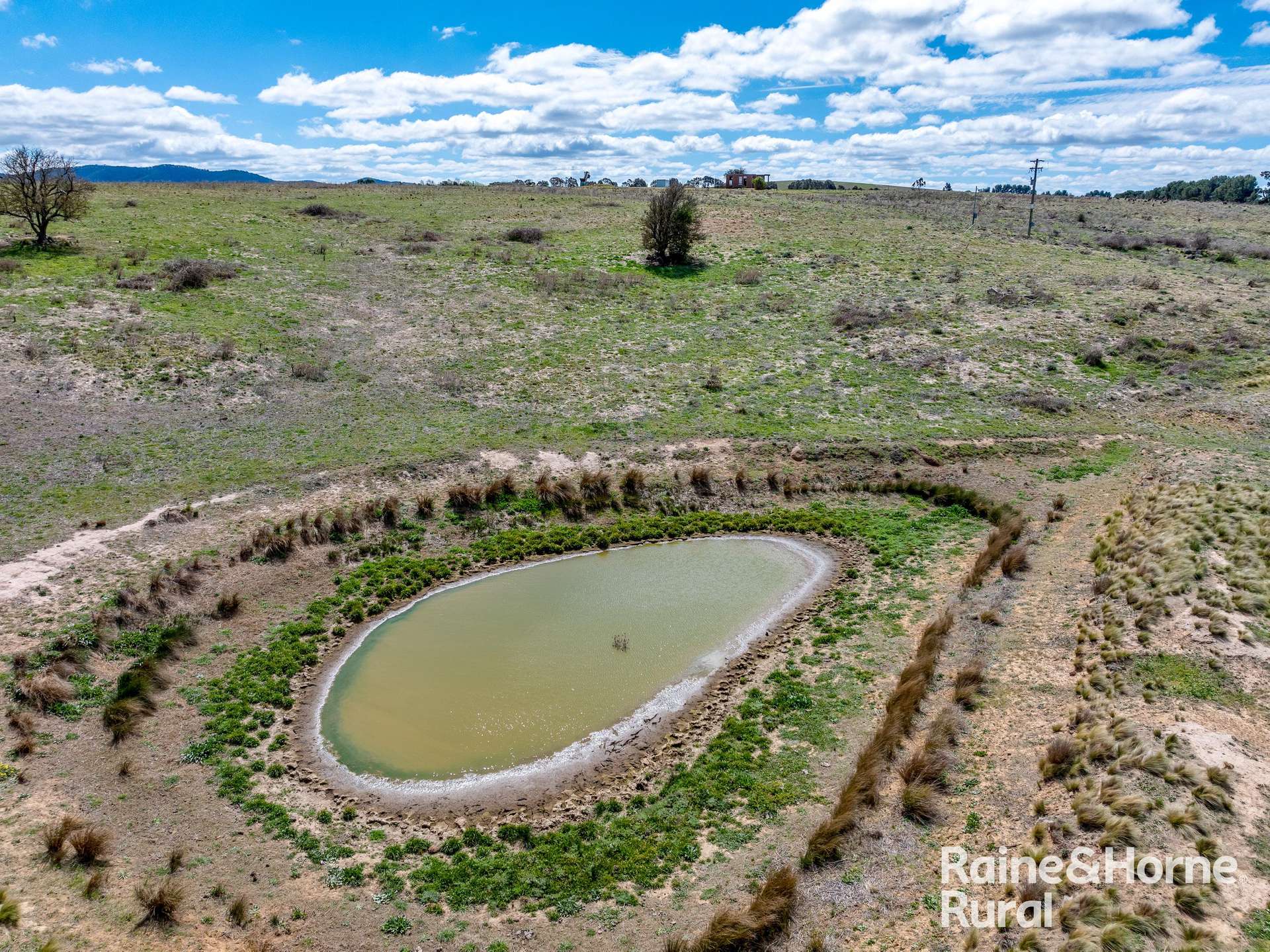 "Little Wollondale"/149 Chinamans Lane, Kingsdale For Sale by Farmbuy.com - image 8
