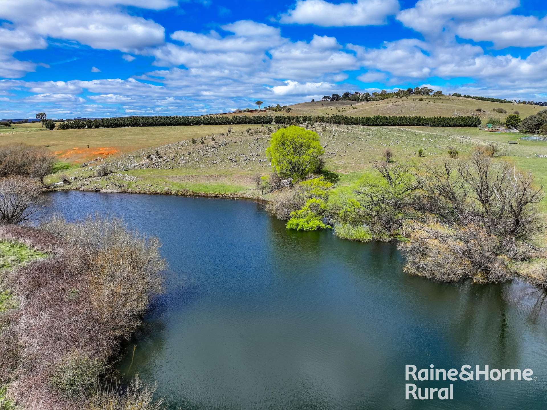 "Little Wollondale"/149 Chinamans Lane, Kingsdale For Sale by Farmbuy.com - image 15