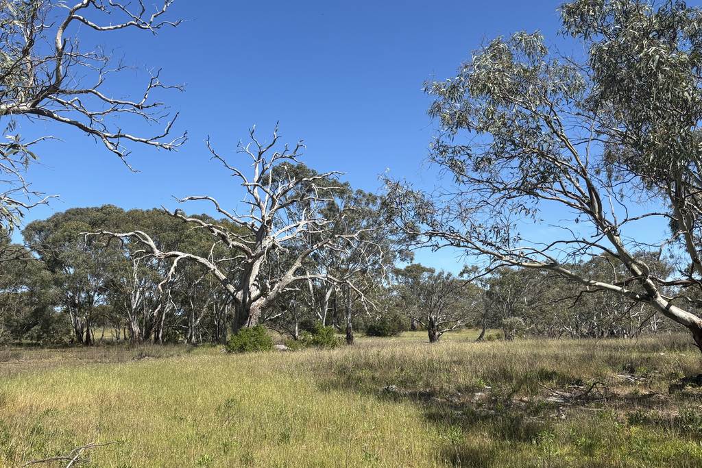 Lot 9&comma; Flinders Highway, Wangary SA 5607