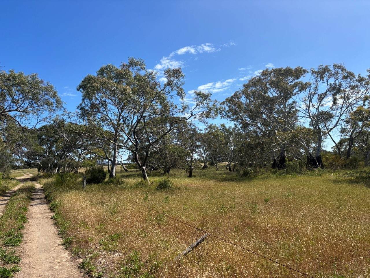 Lot 9,  Flinders Highway, Wangary For Sale by Farmbuy.com - image 28