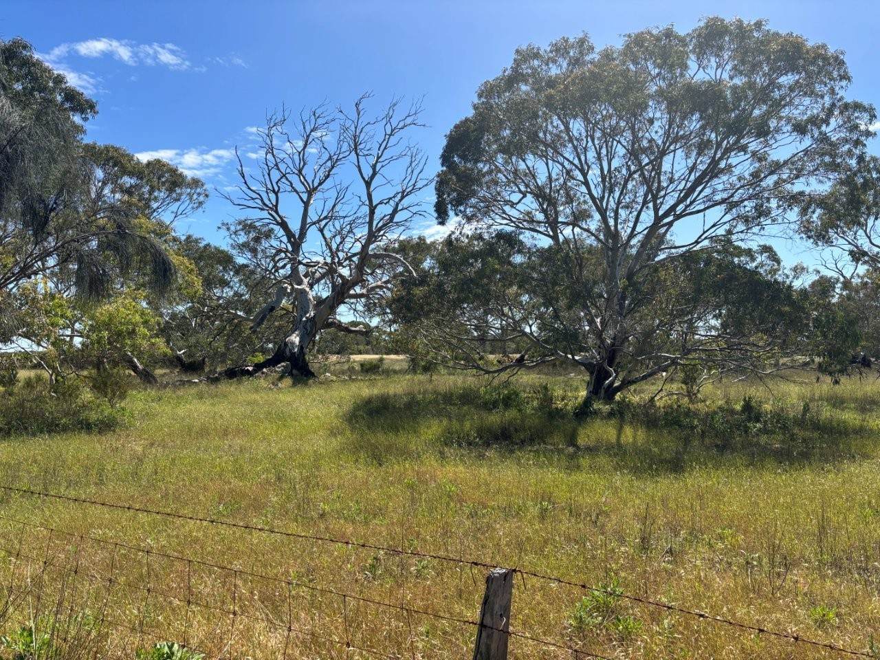 Lot 9,  Flinders Highway, Wangary For Sale by Farmbuy.com - image 31