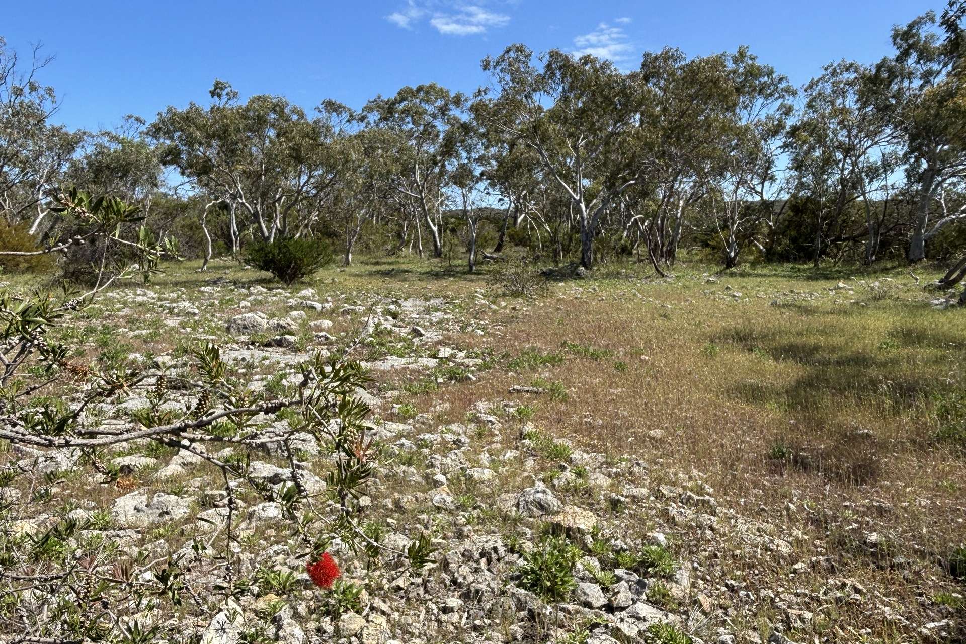 Lot 9,  Flinders Highway, Wangary For Sale by Farmbuy.com - image 22