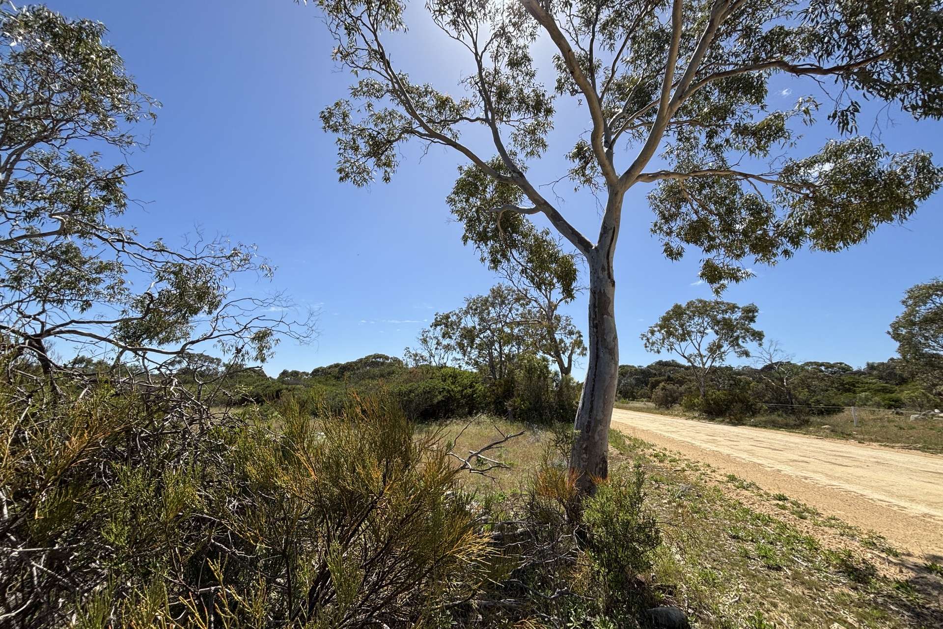 Lot 9,  Flinders Highway, Wangary For Sale by Farmbuy.com - image 11