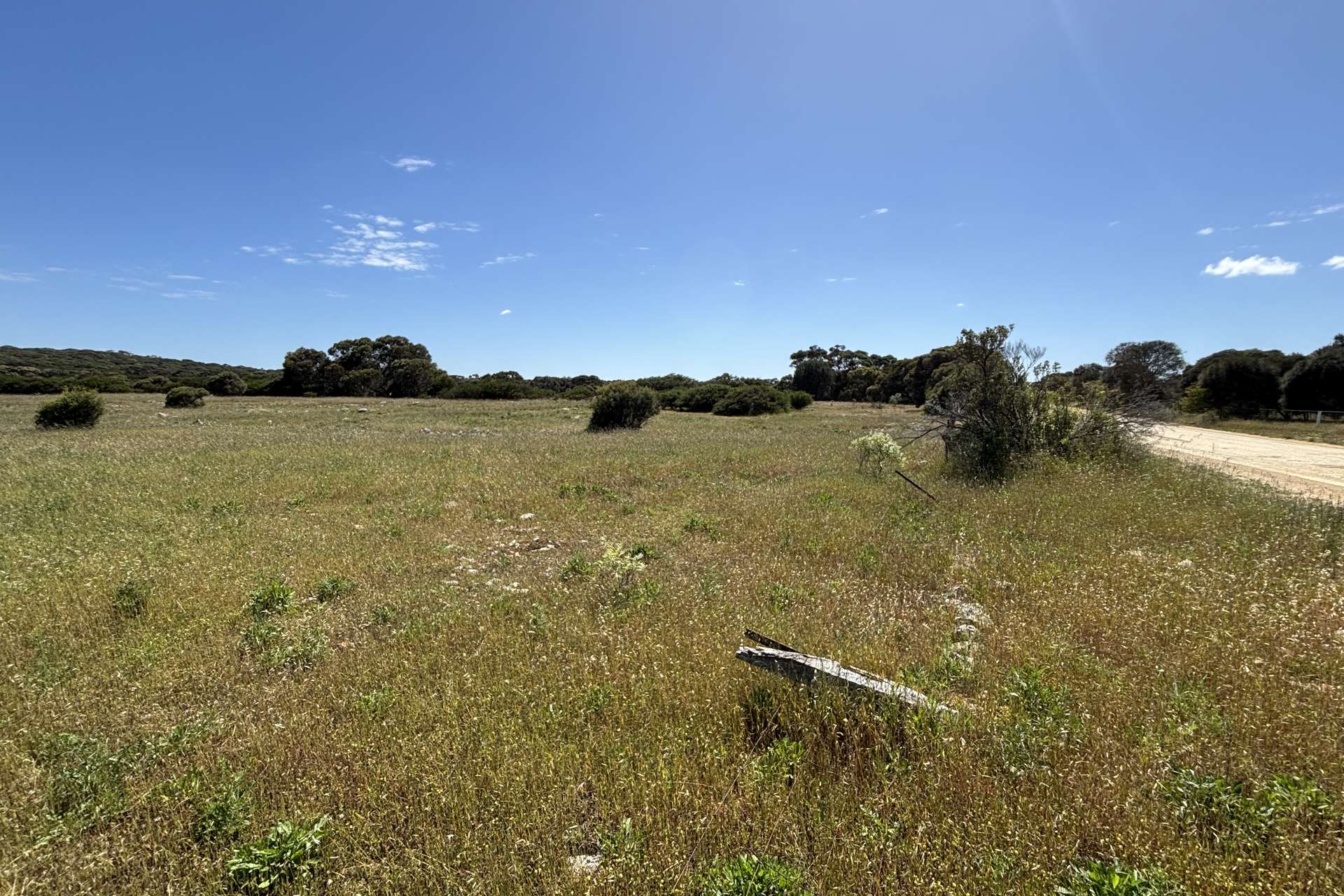 Lot 9,  Flinders Highway, Wangary For Sale by Farmbuy.com - image 18