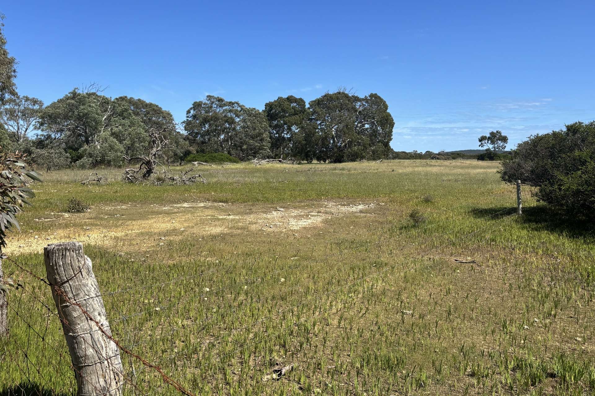 Lot 9,  Flinders Highway, Wangary For Sale by Farmbuy.com - image 14