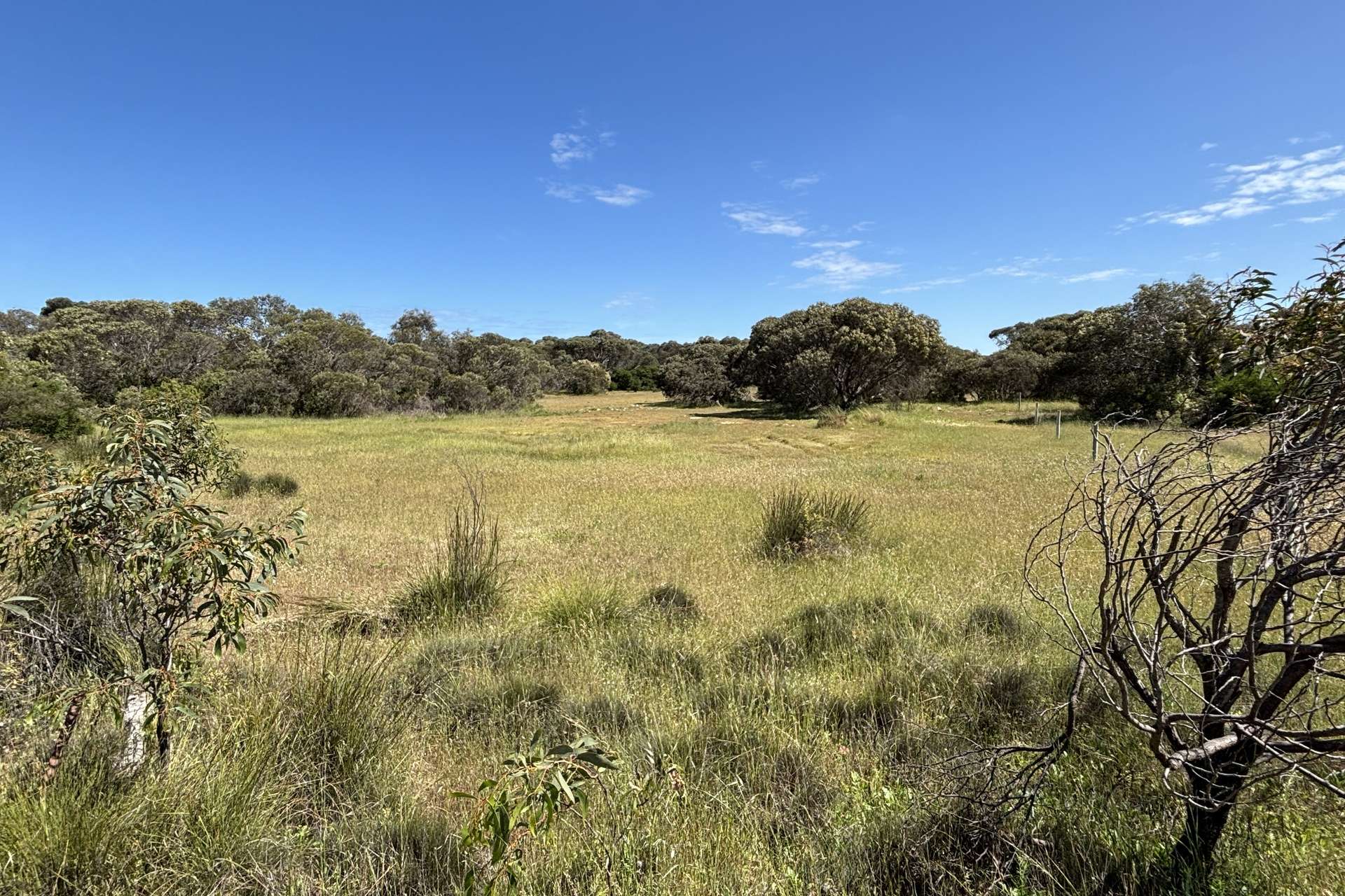 Lot 9,  Flinders Highway, Wangary For Sale by Farmbuy.com - image 5